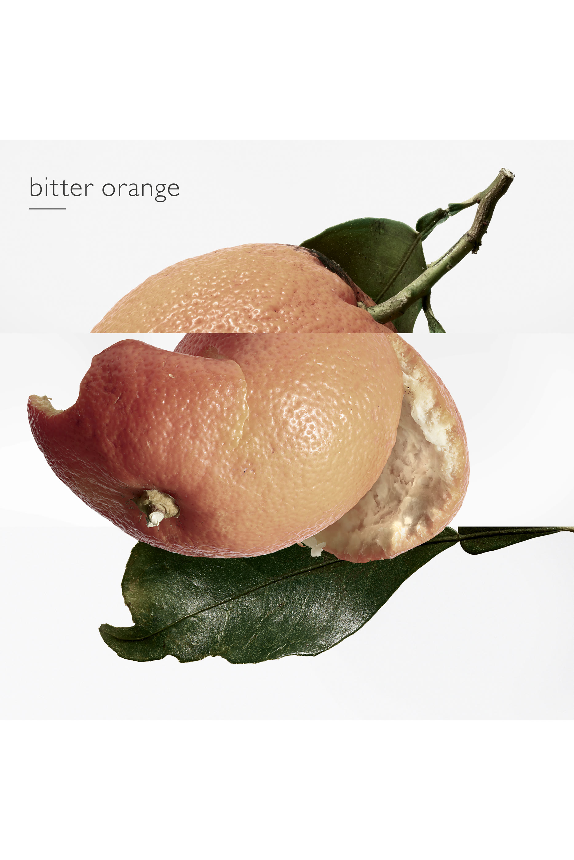 Eau des Merveilles Deodorant spray