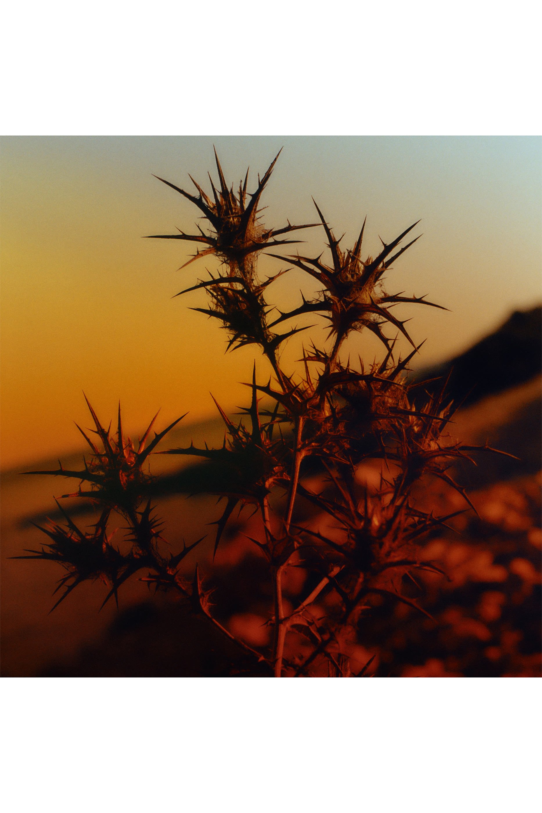 شمعة بيوت بويم بوجيه بارفوميه المعطّرة