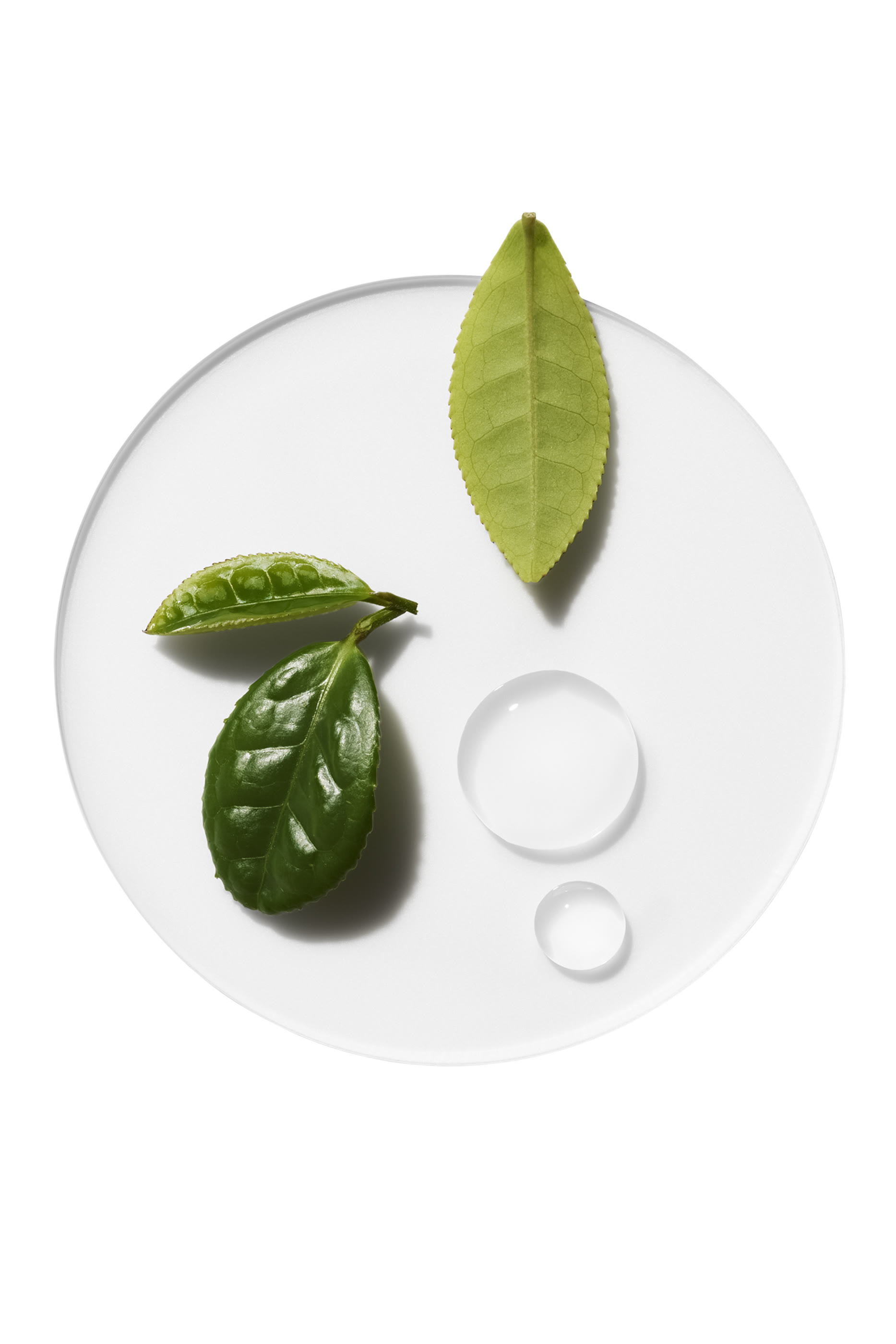 مرطب مركز مويستشر سيرج سوبر تشارجيد