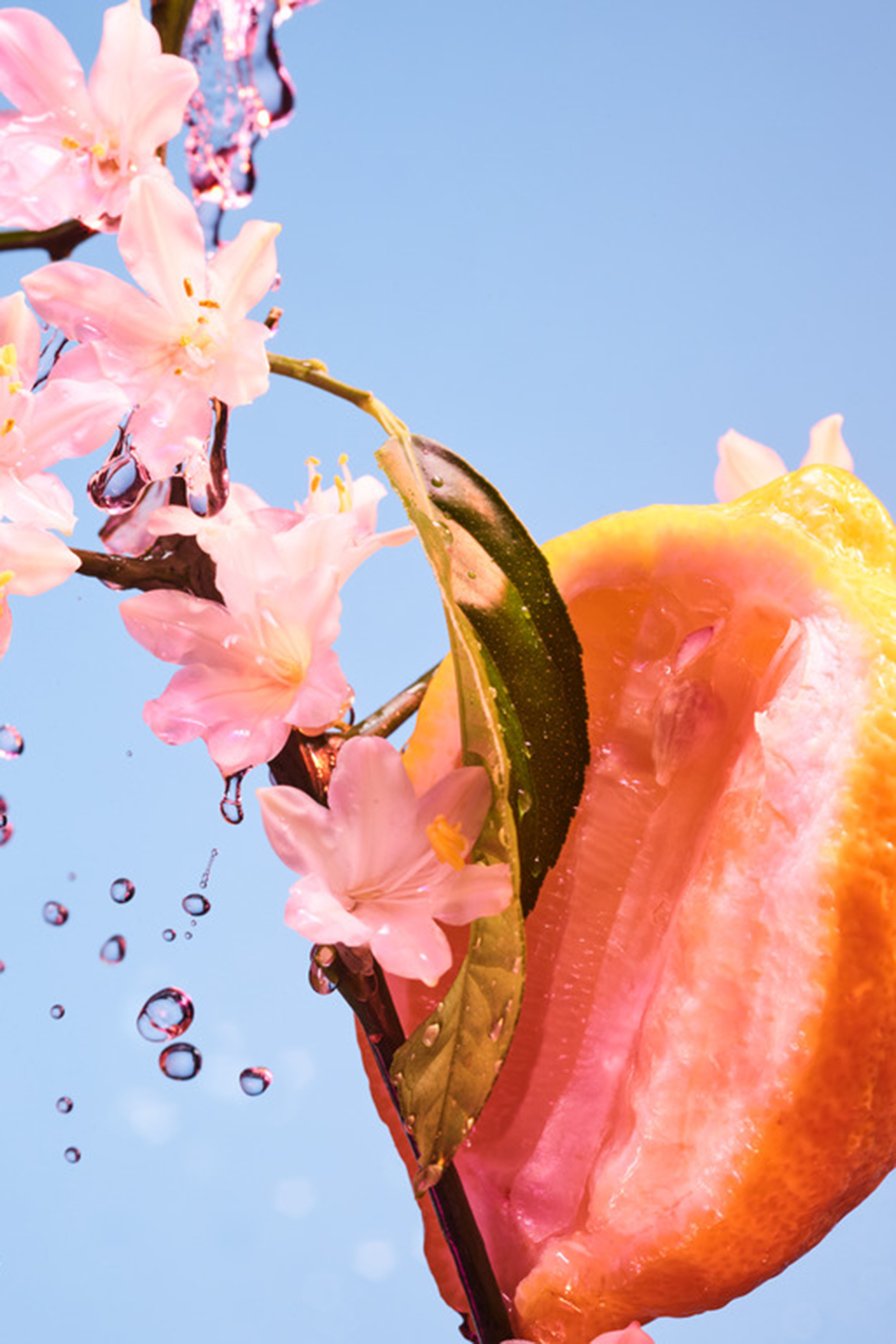 أو دو بارفان أليجرا تشيل آند سول