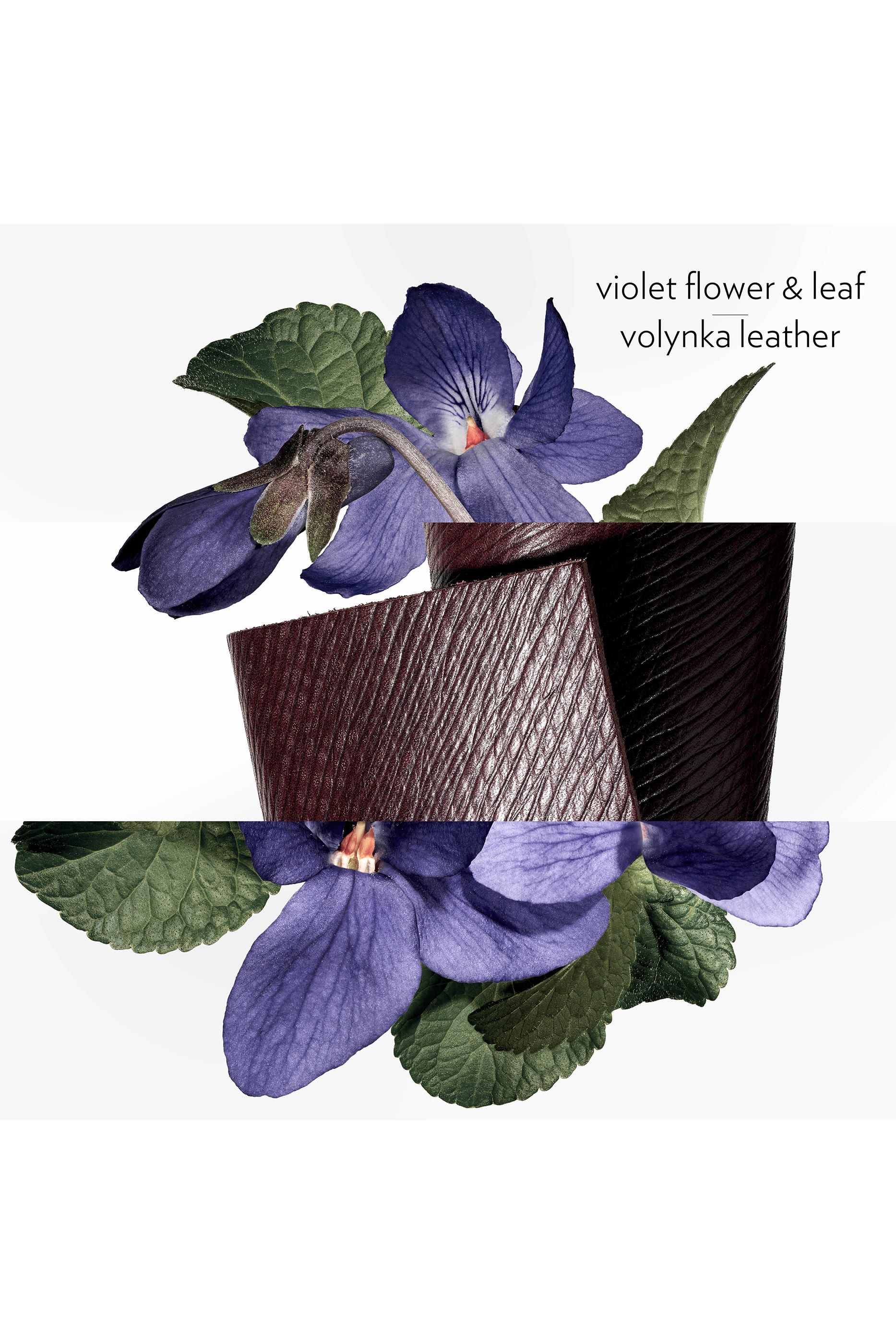 أو دو تواليت Violette Volynka