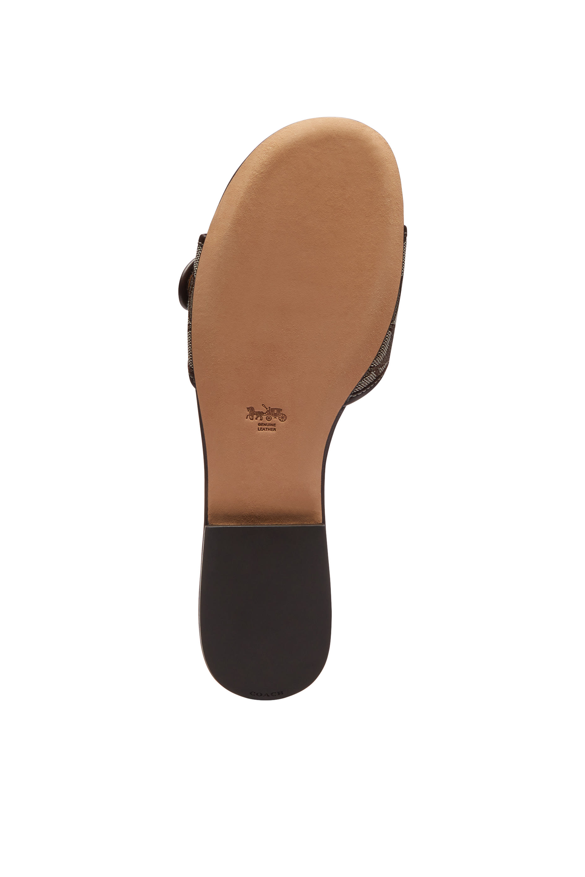 صندل مارغوت بكعب مسطح