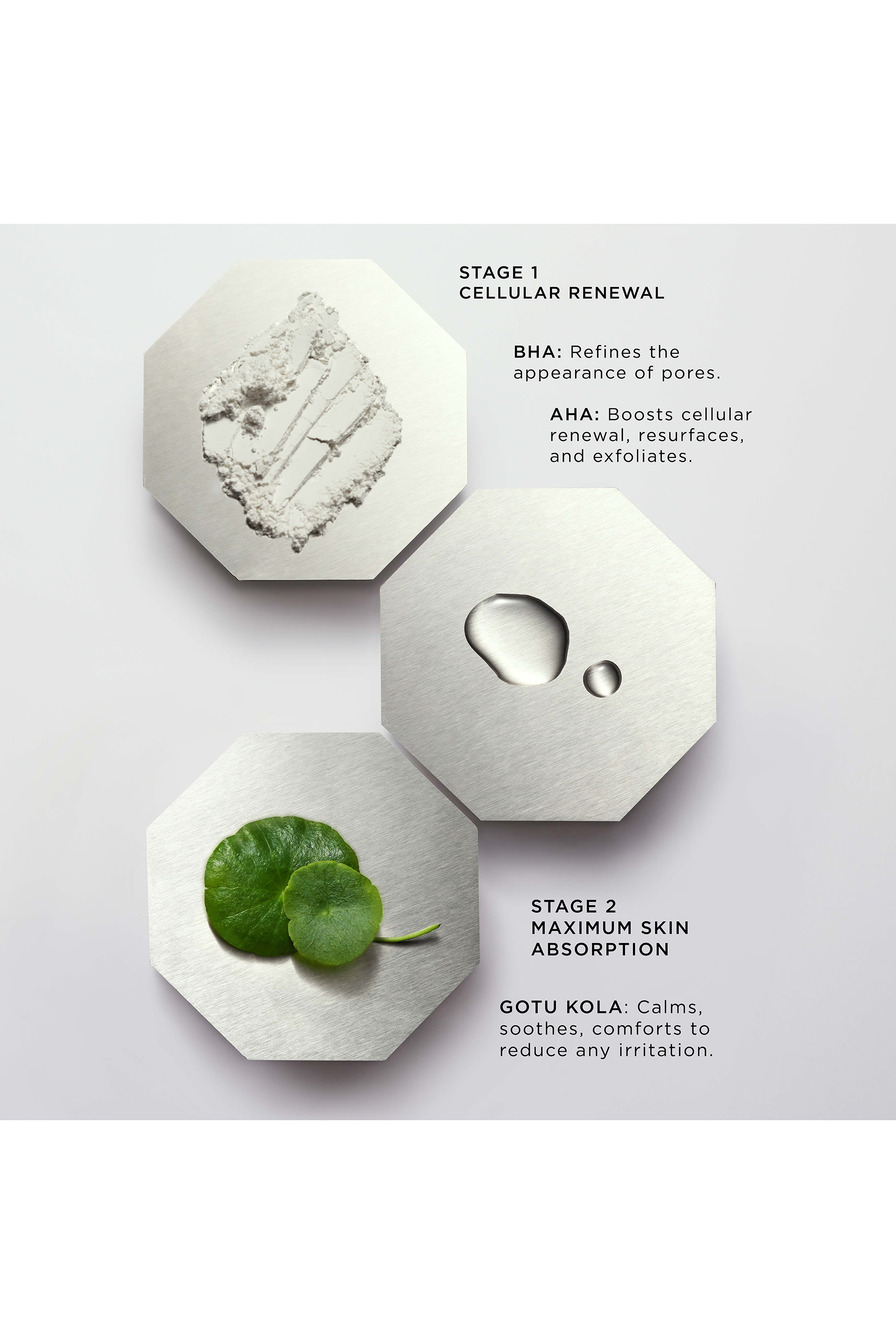 مقشر ليلي ذا اكسيبشنال كرونوبيولوجي