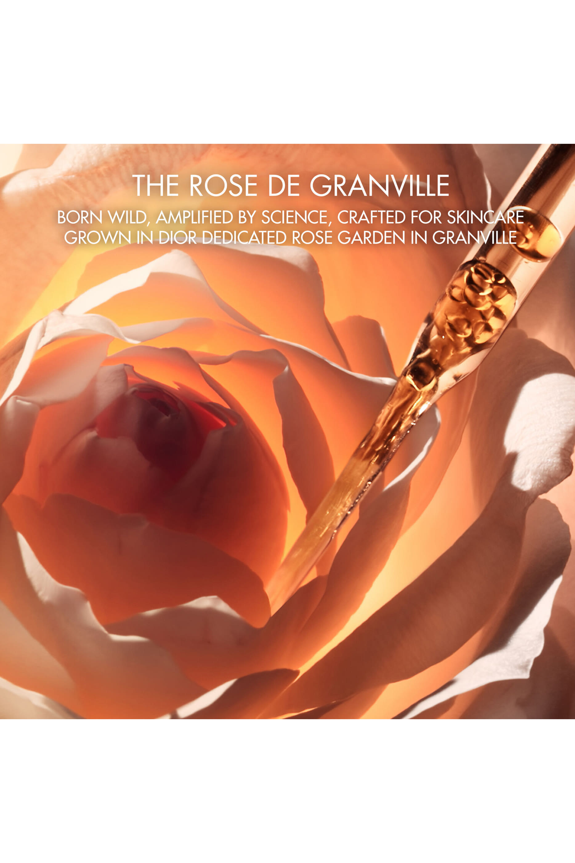 سيروم برستيج لا مايكرو-ويل دو روز أكتيفايتد