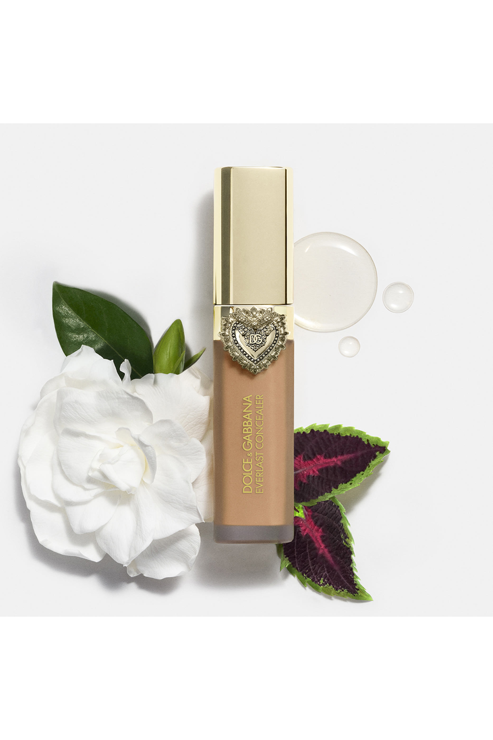 خافي عيوب إيفرلاست