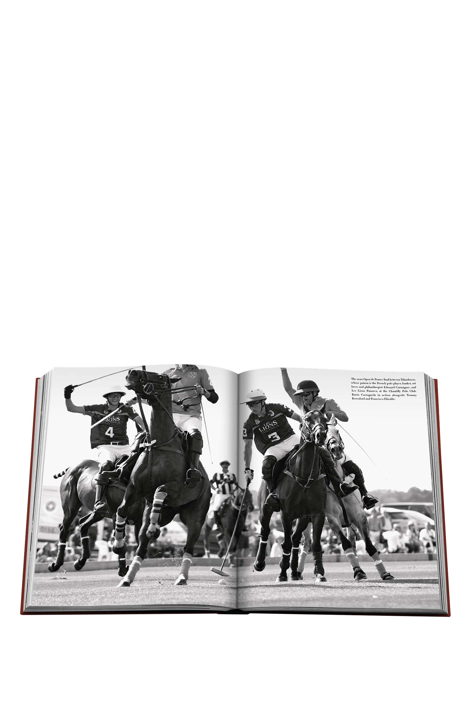 كتاب إرث البولو