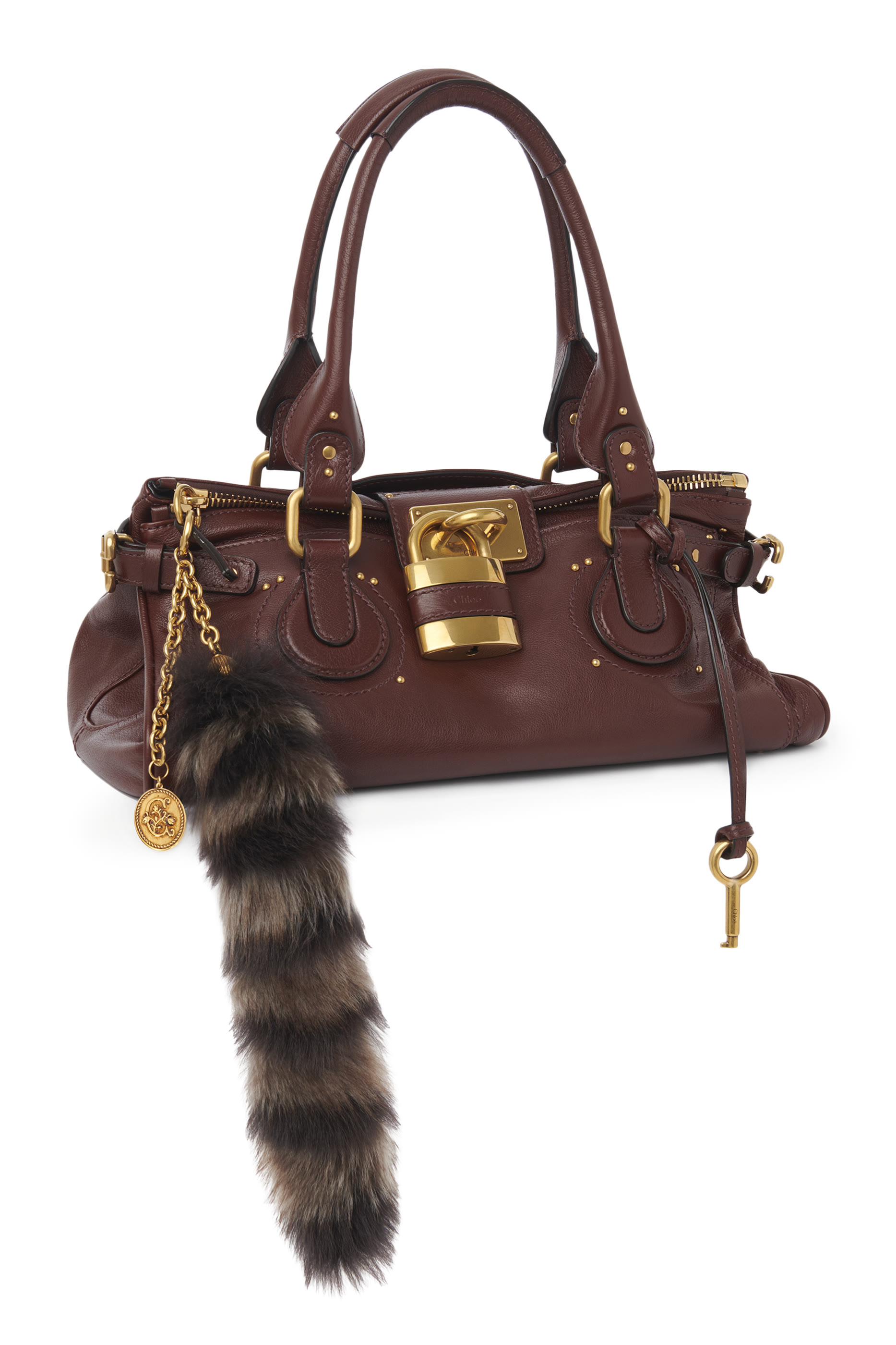 The Treasure Tails Charm