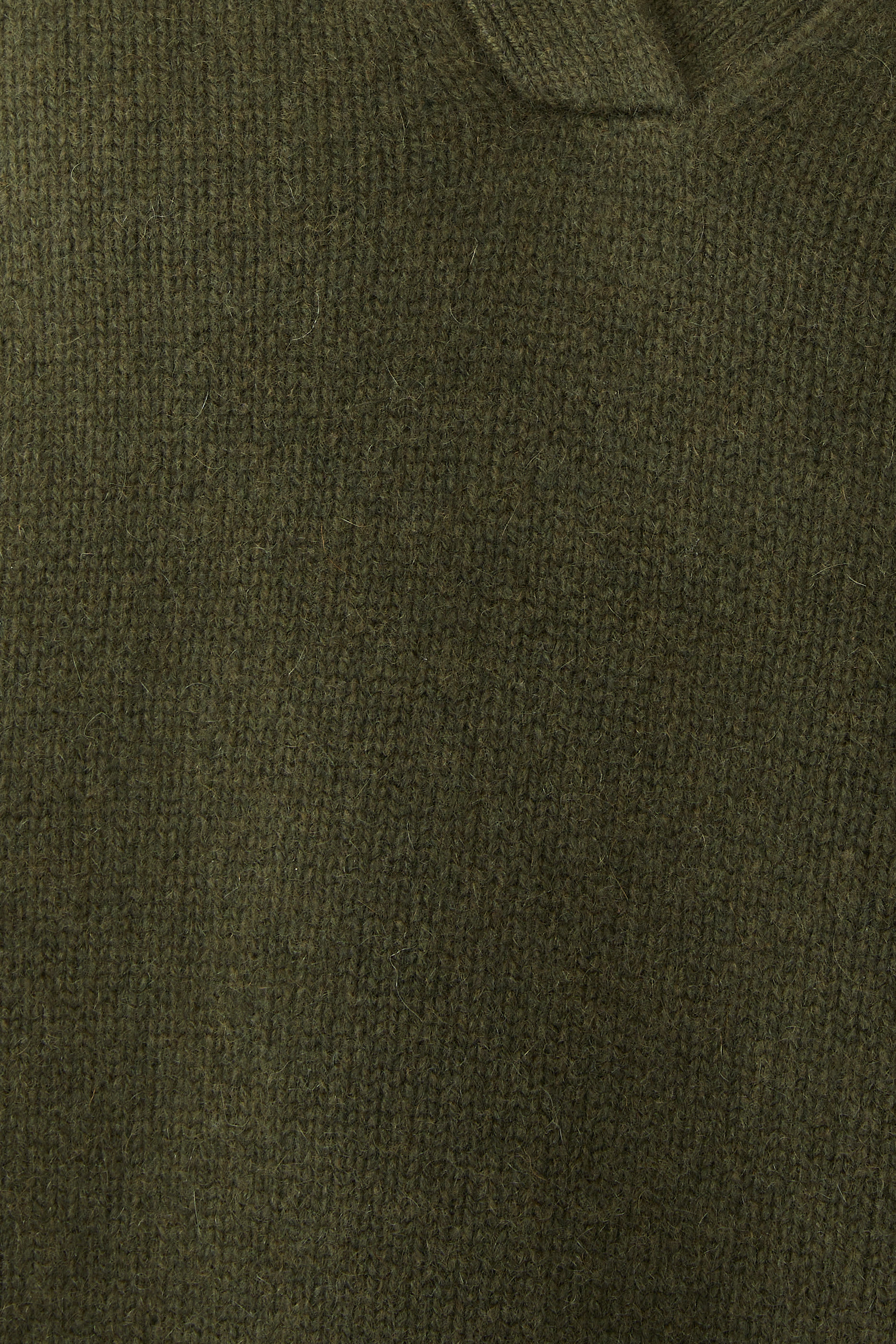 قميص بولو مستر غيت