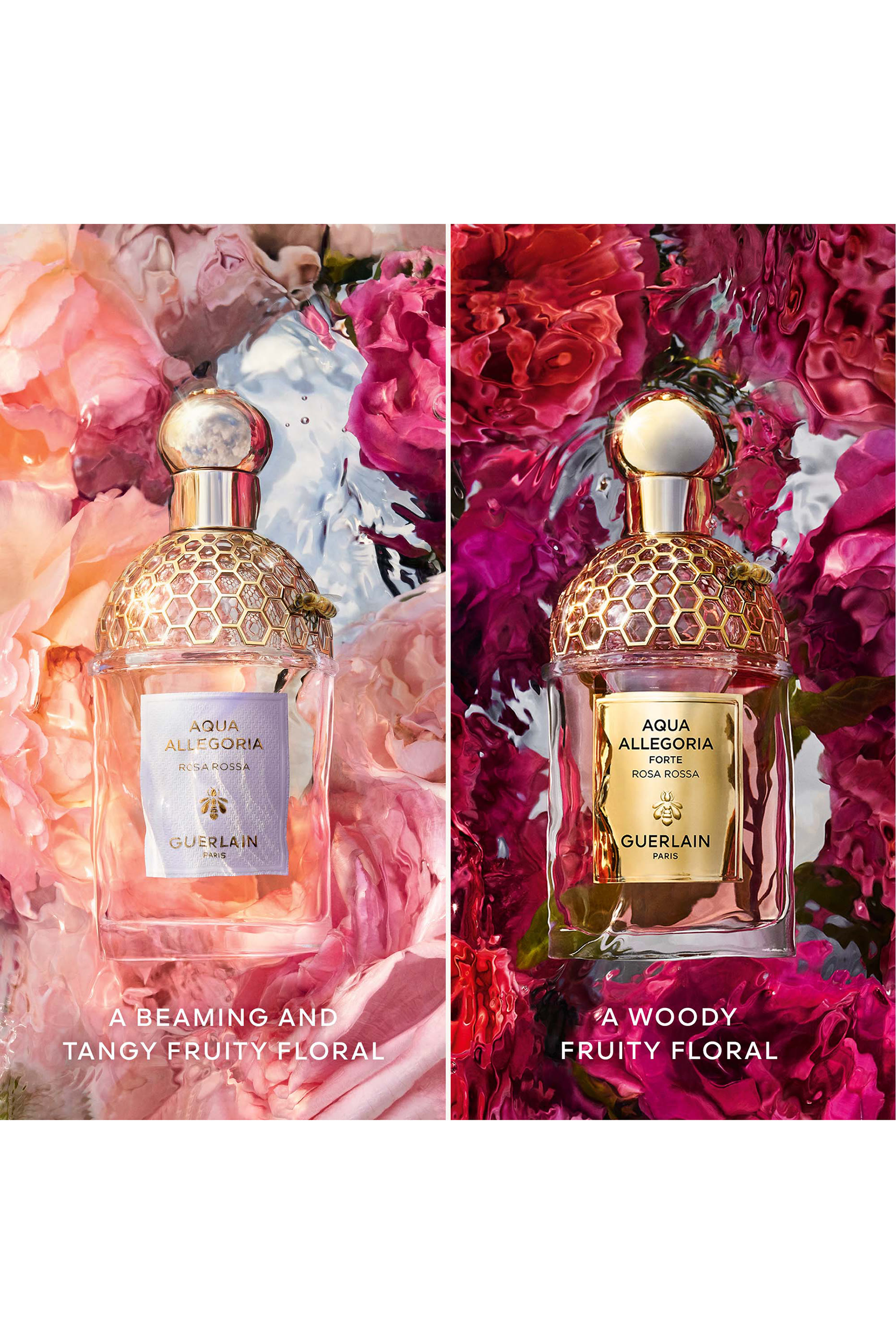 أو دو بارفان روزا روسا فورت