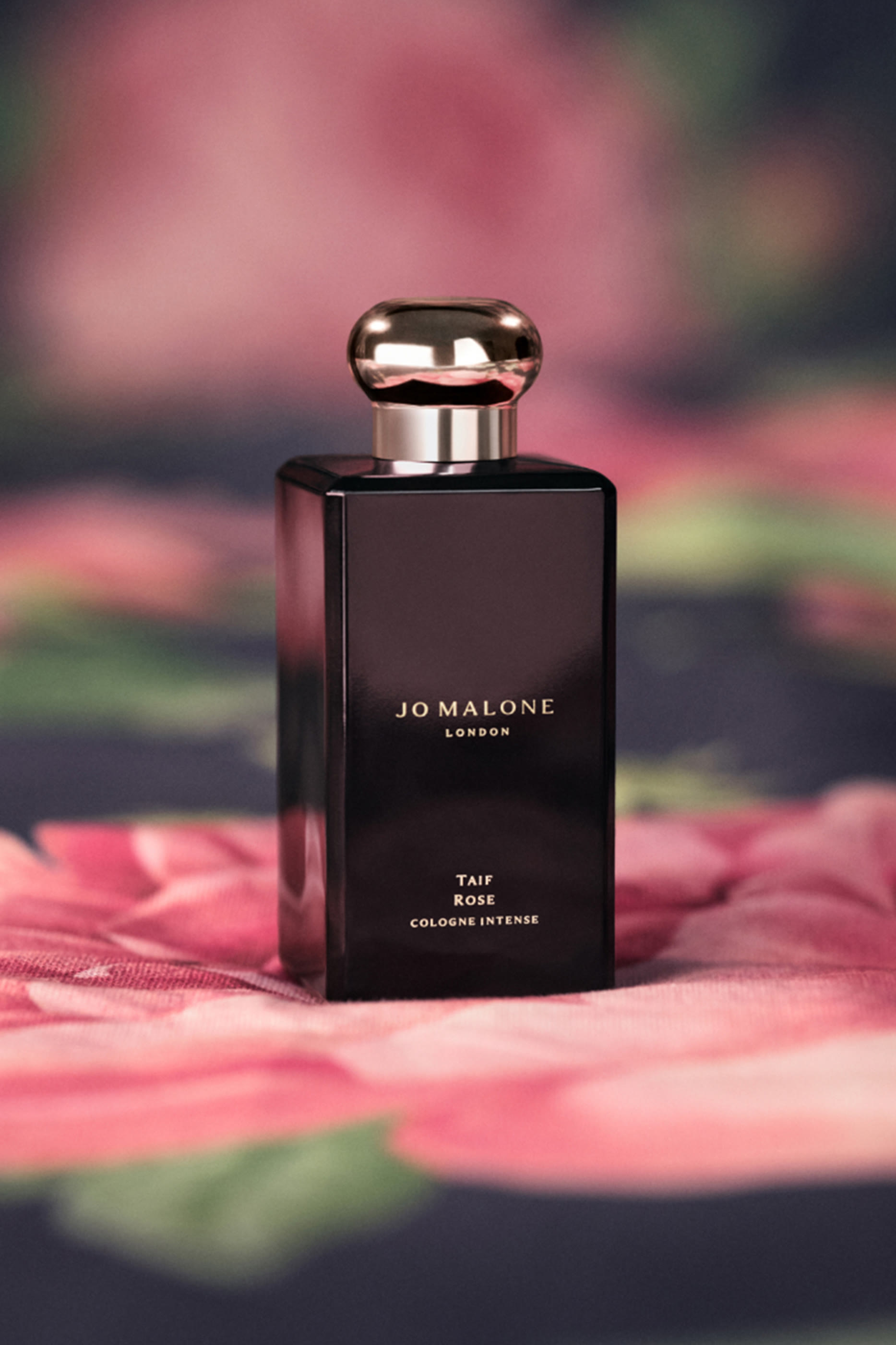 كولونيا مركزة طائف روز