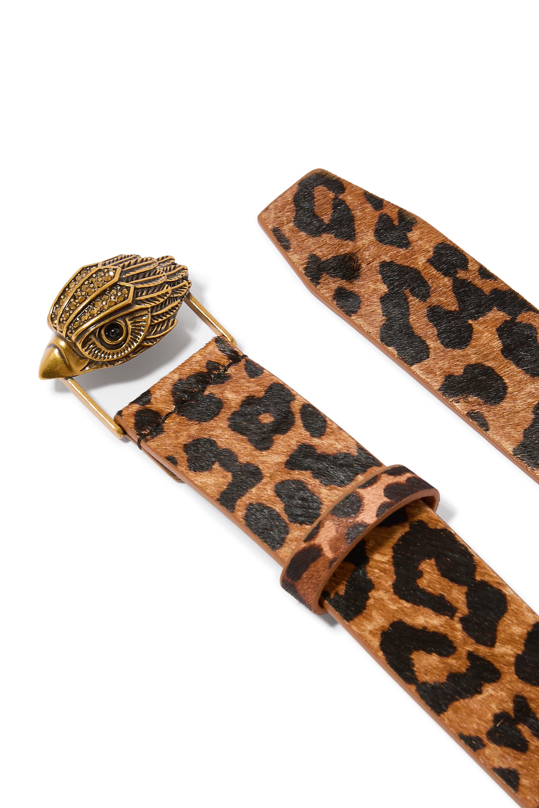 حزام كنسينغتون 38 جلد