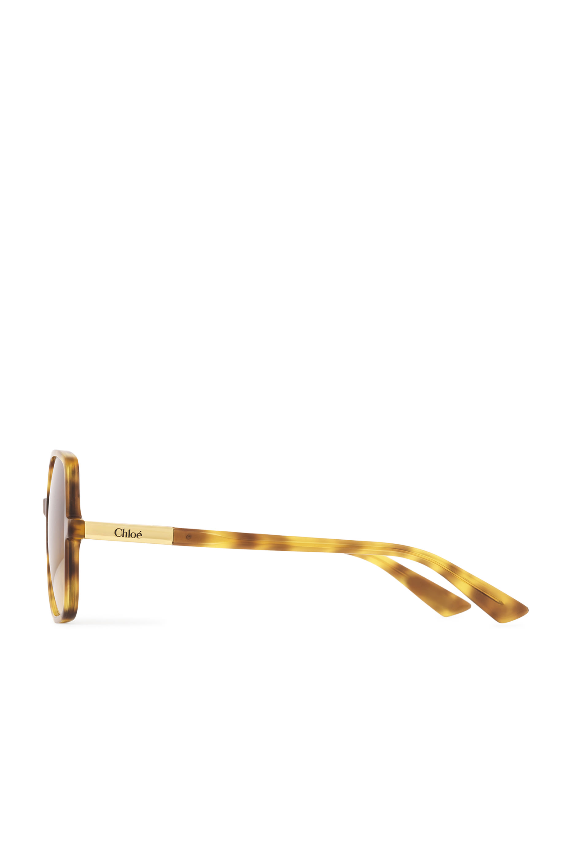 نظارة جودي شمسية