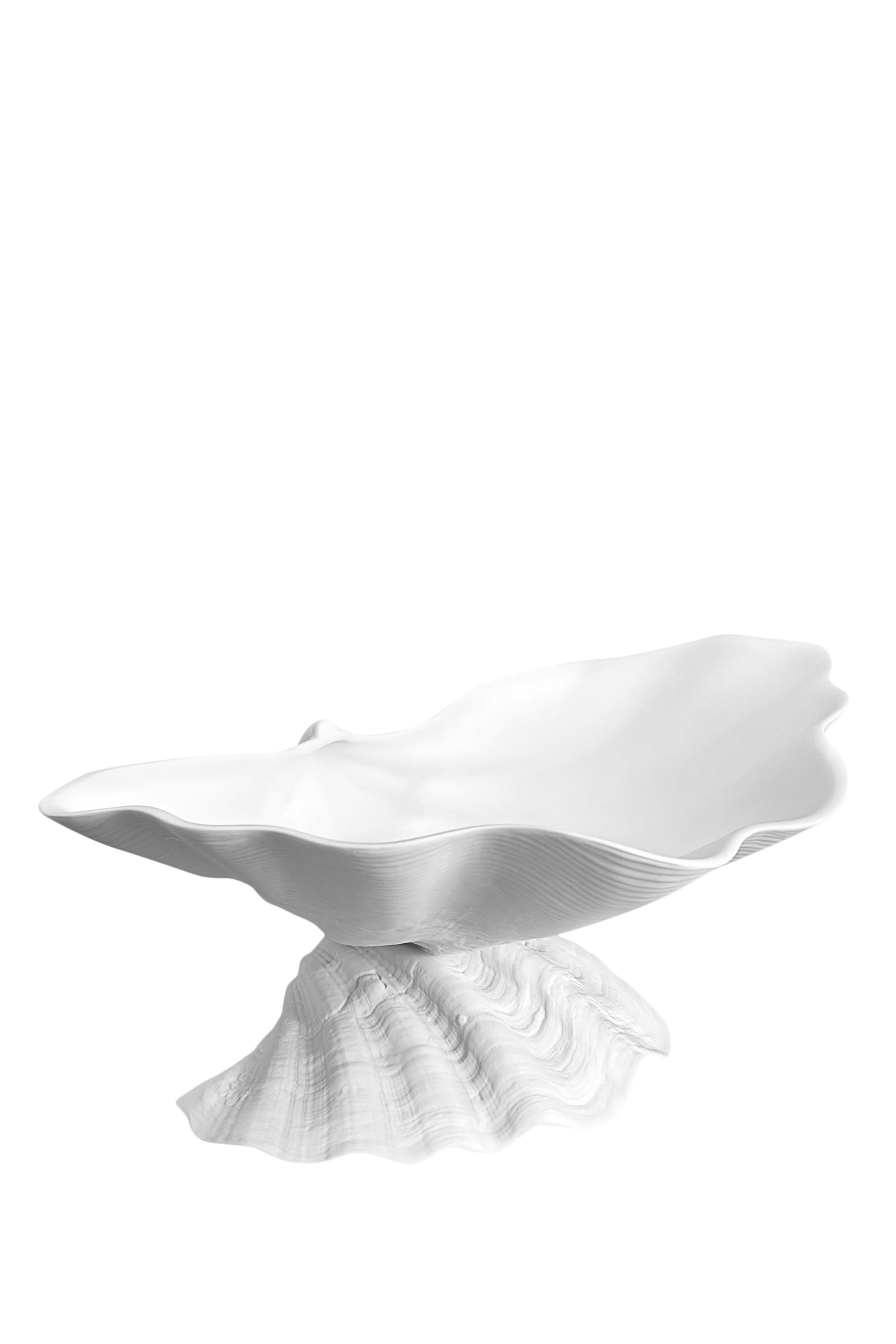 وعاء نيبتون كبير