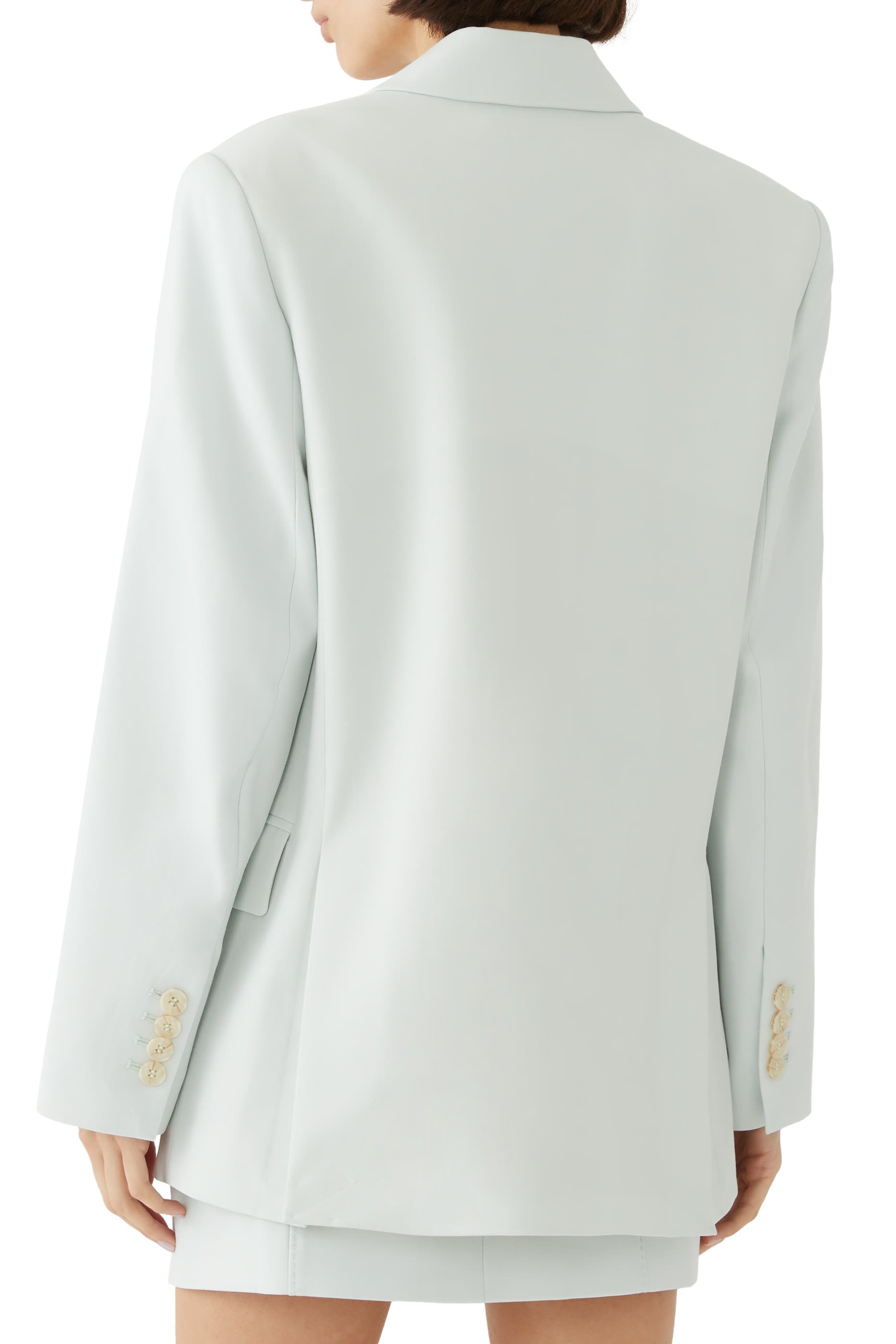 بليزر فرانسيس