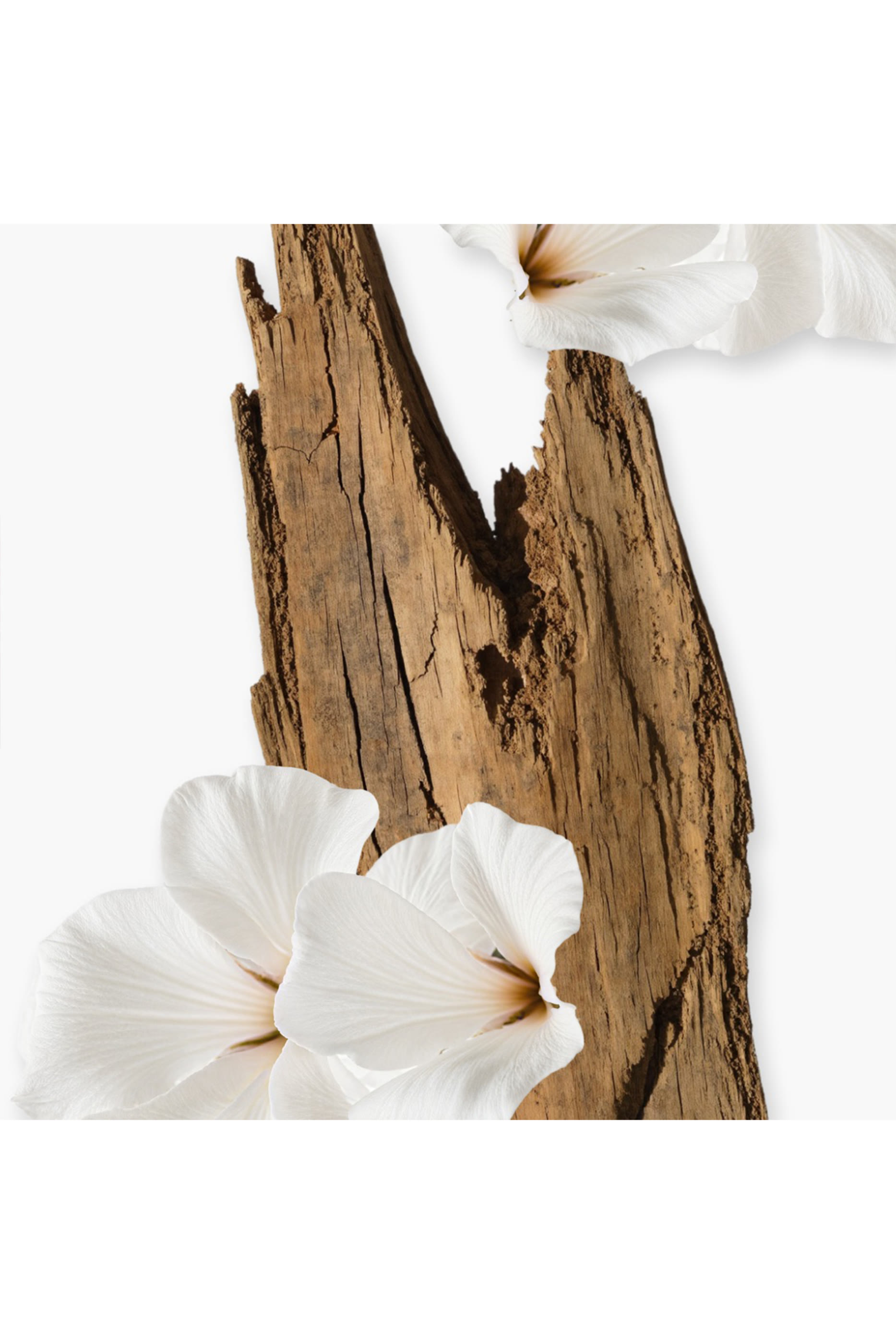 كريم الجسم فالايا القابل لإعادة الملء