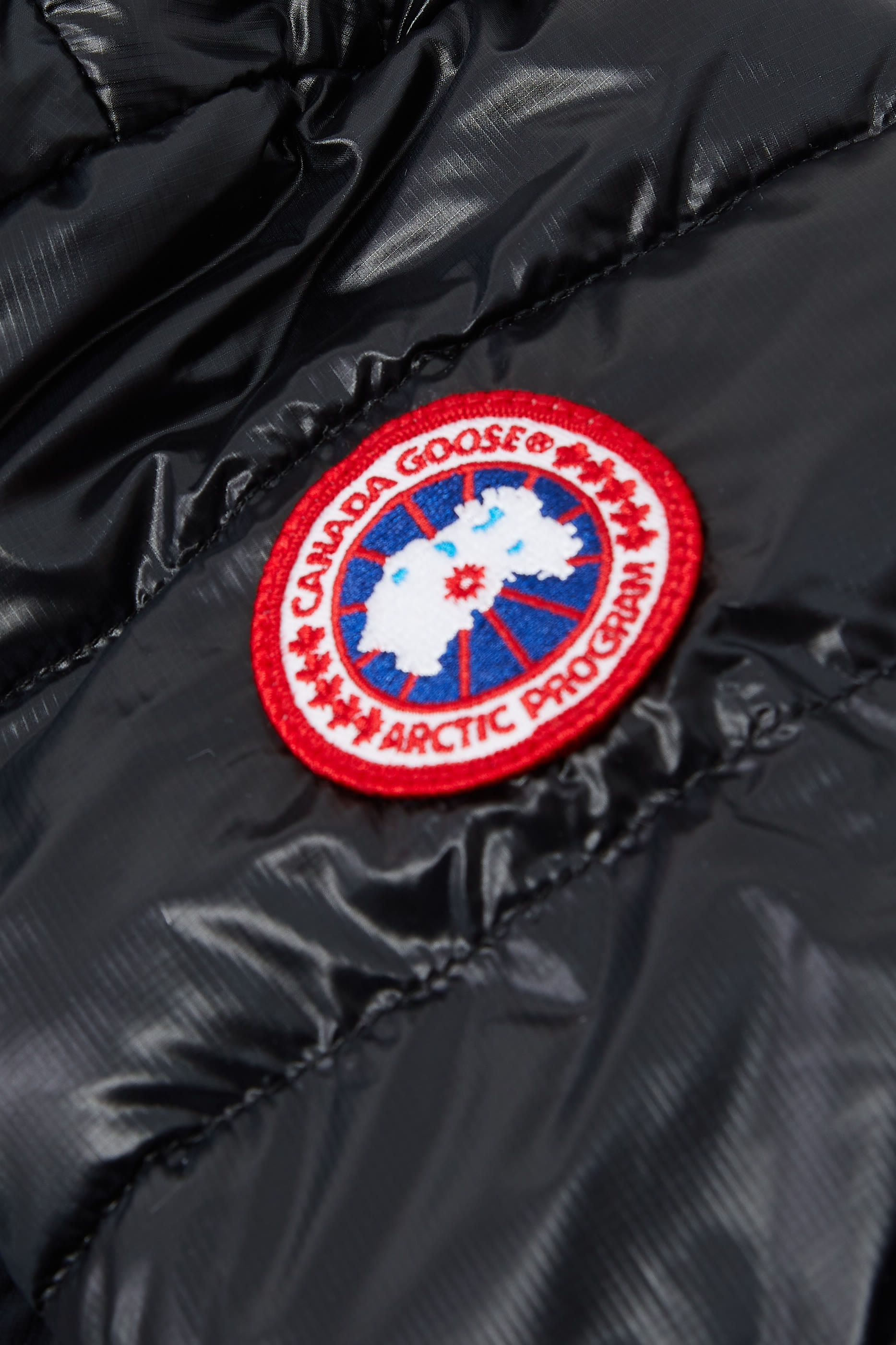 هودي سايبرس