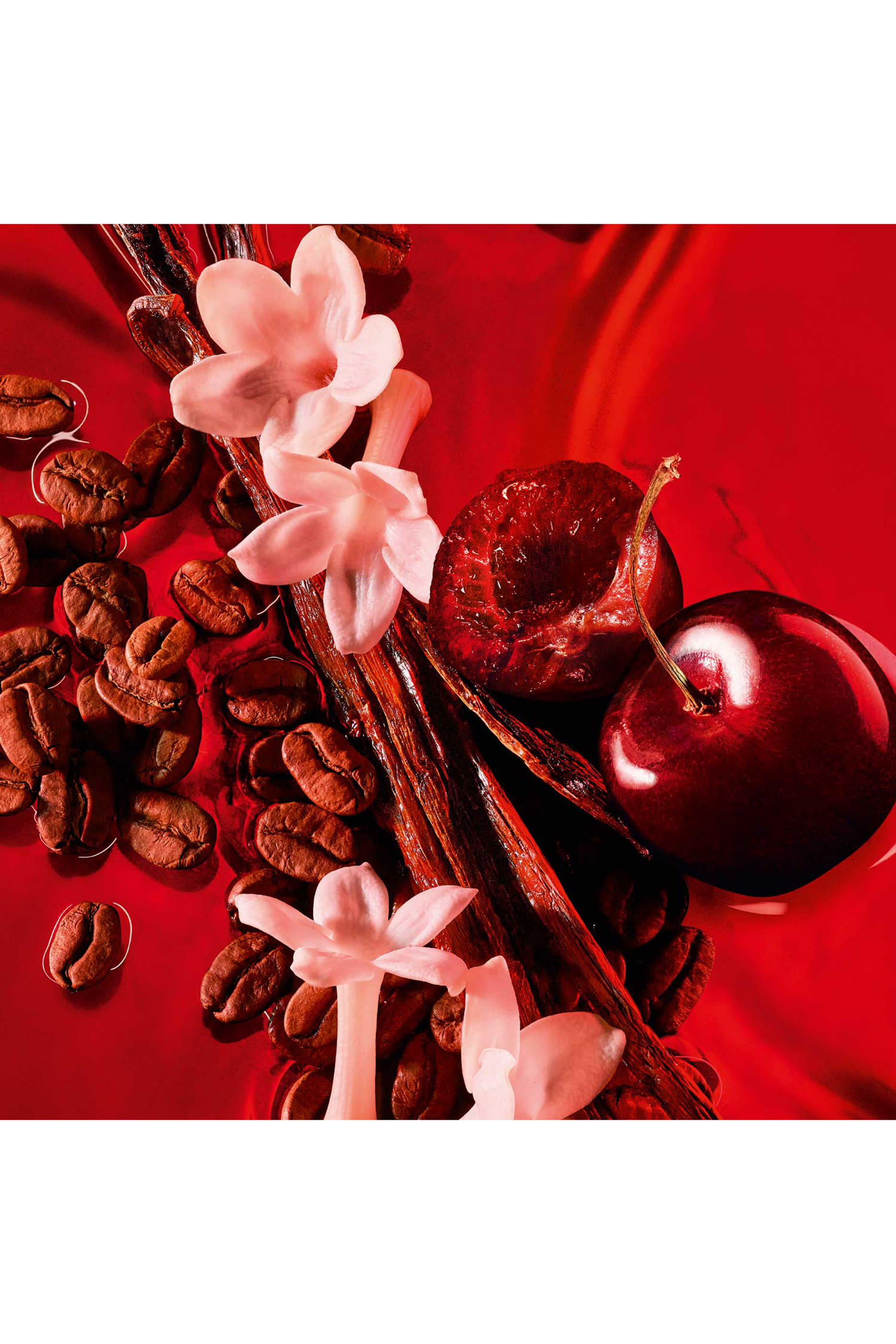 أو دو بارفان بلاك أوبيوم أوفر ريد