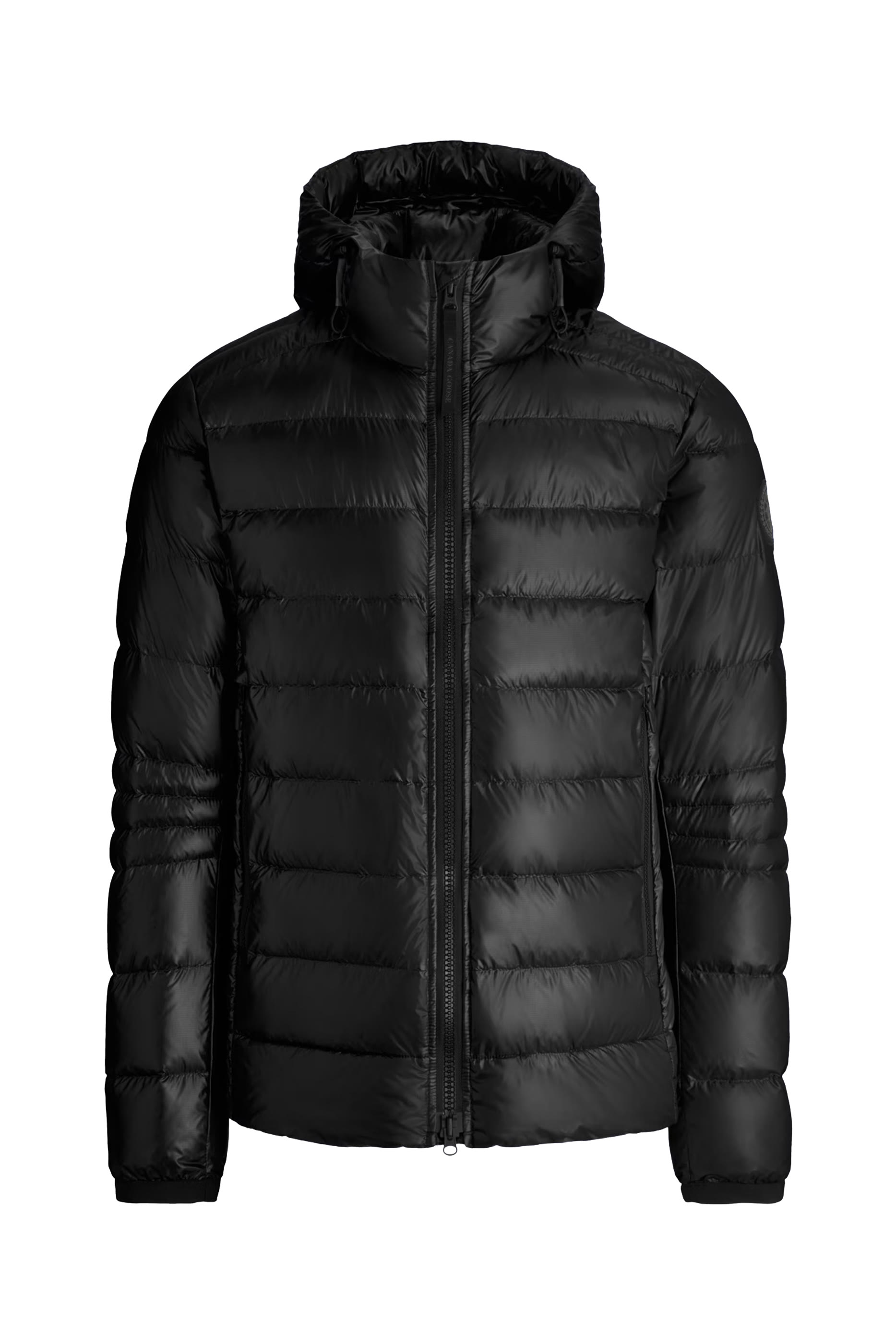 هودي كروفتون