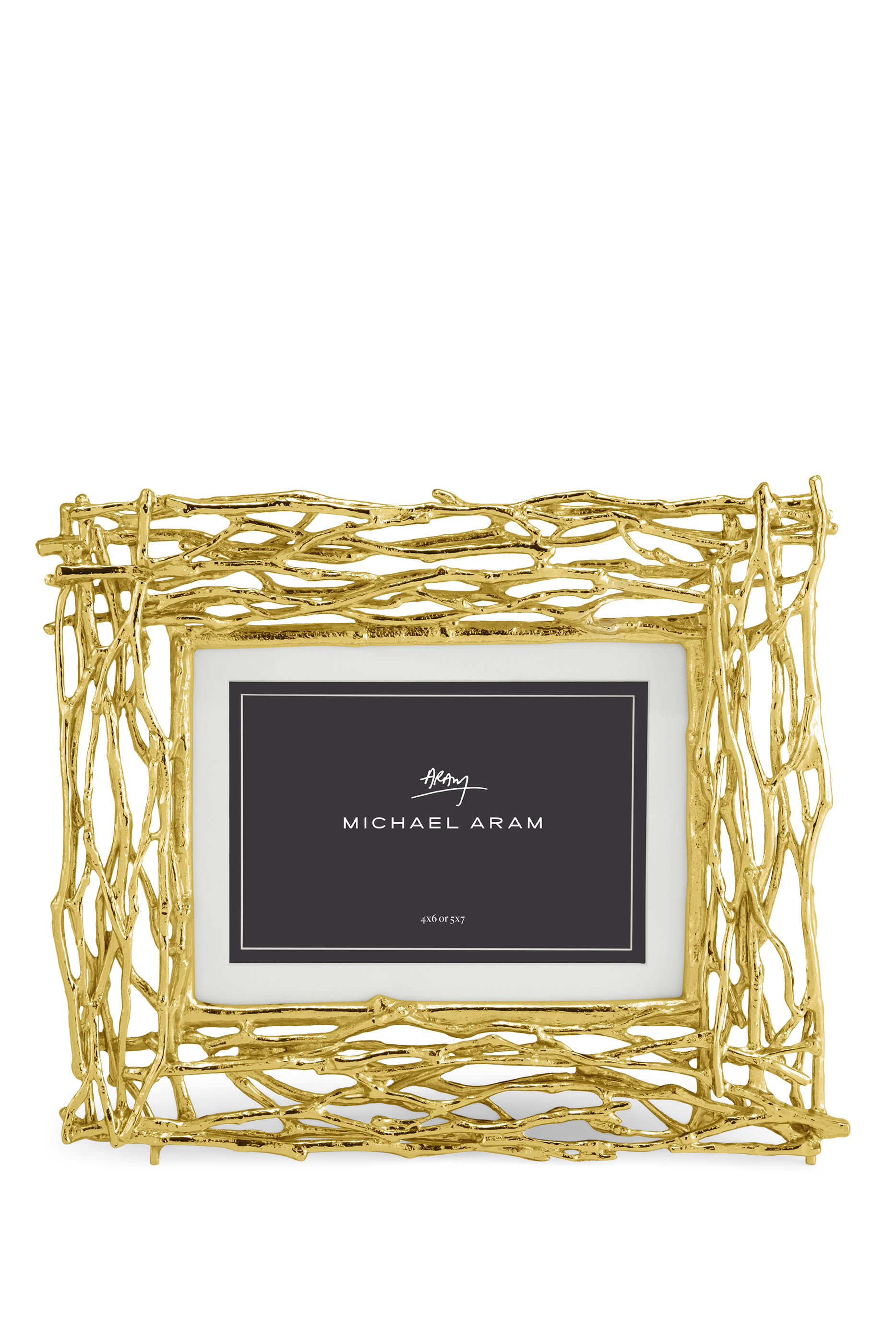 إطار مزين بغصن