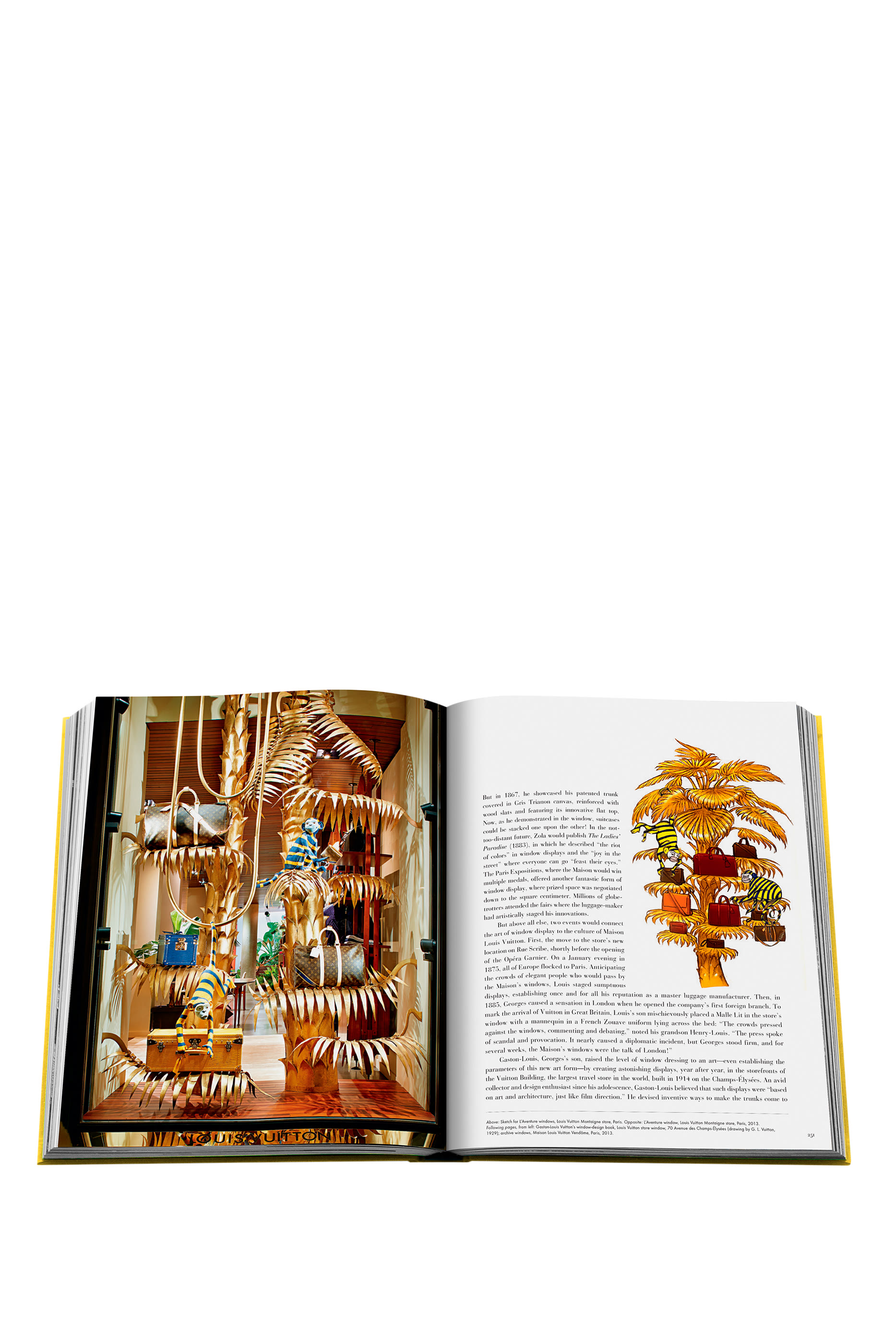 كتاب طاولة القهوة فروم لويس تو فويتون