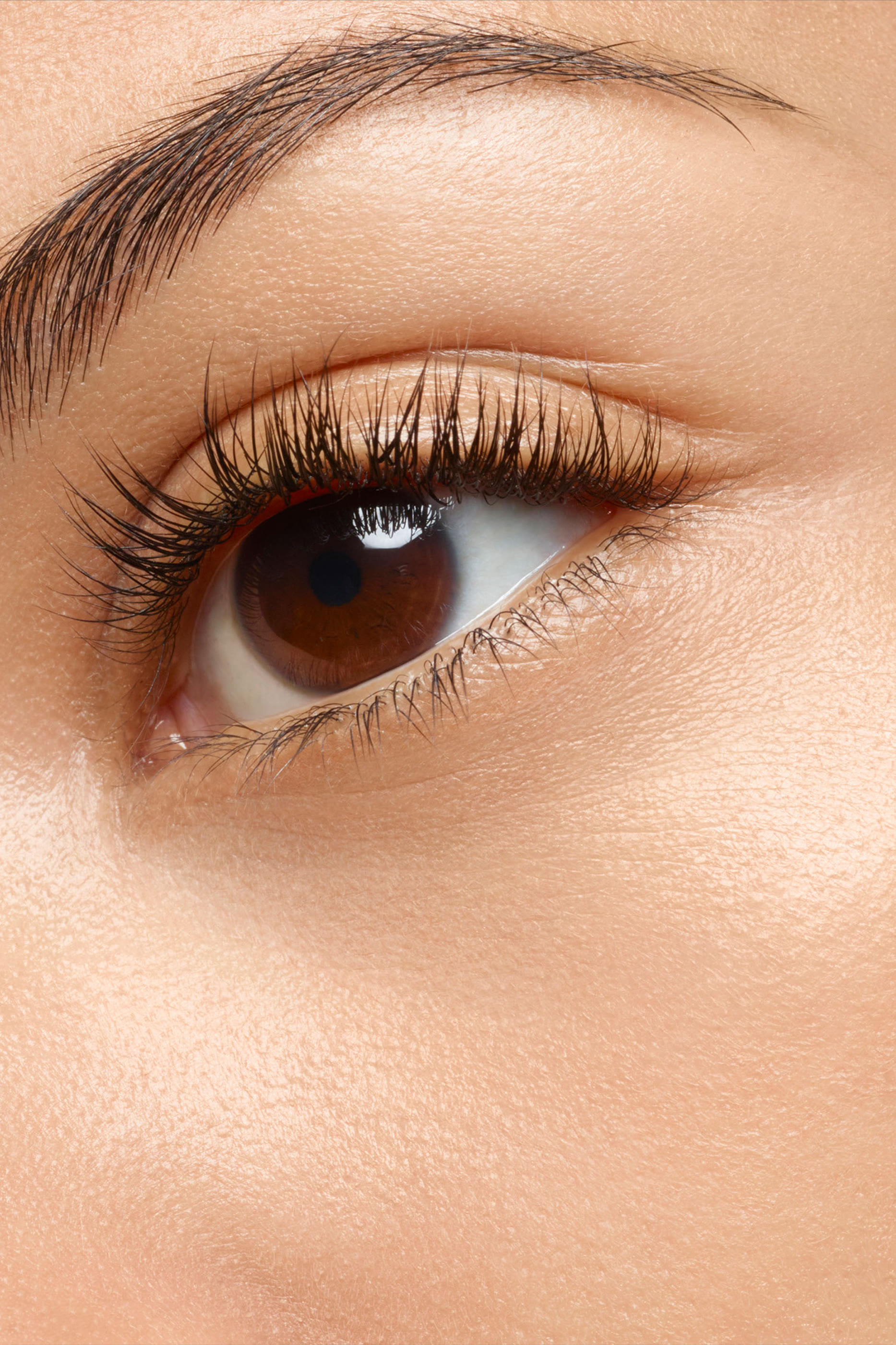 خافي عيوب البشرة توش إيكلا بتغطية عالية درجة جولدن