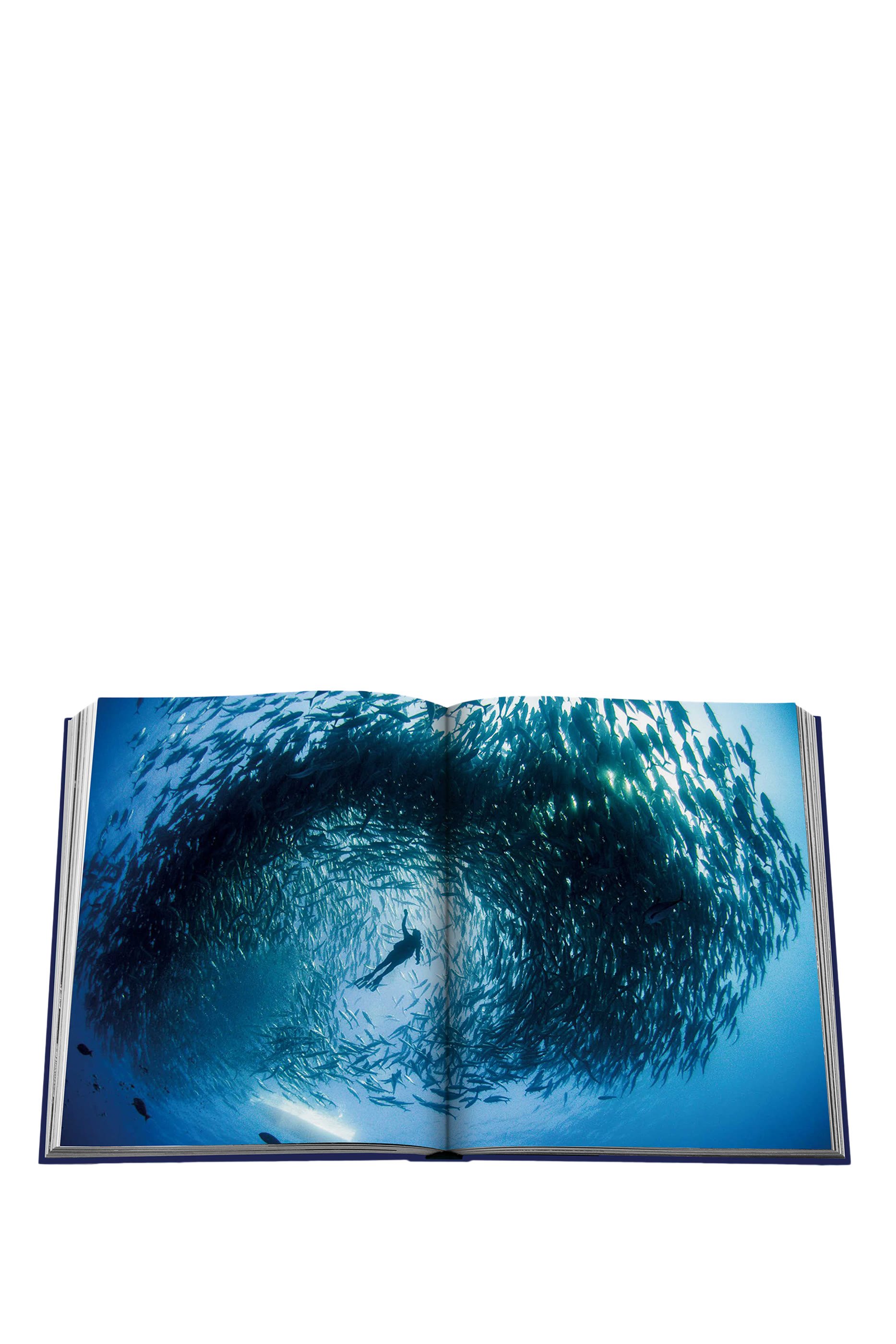 كتاب أوشن وندرلاست