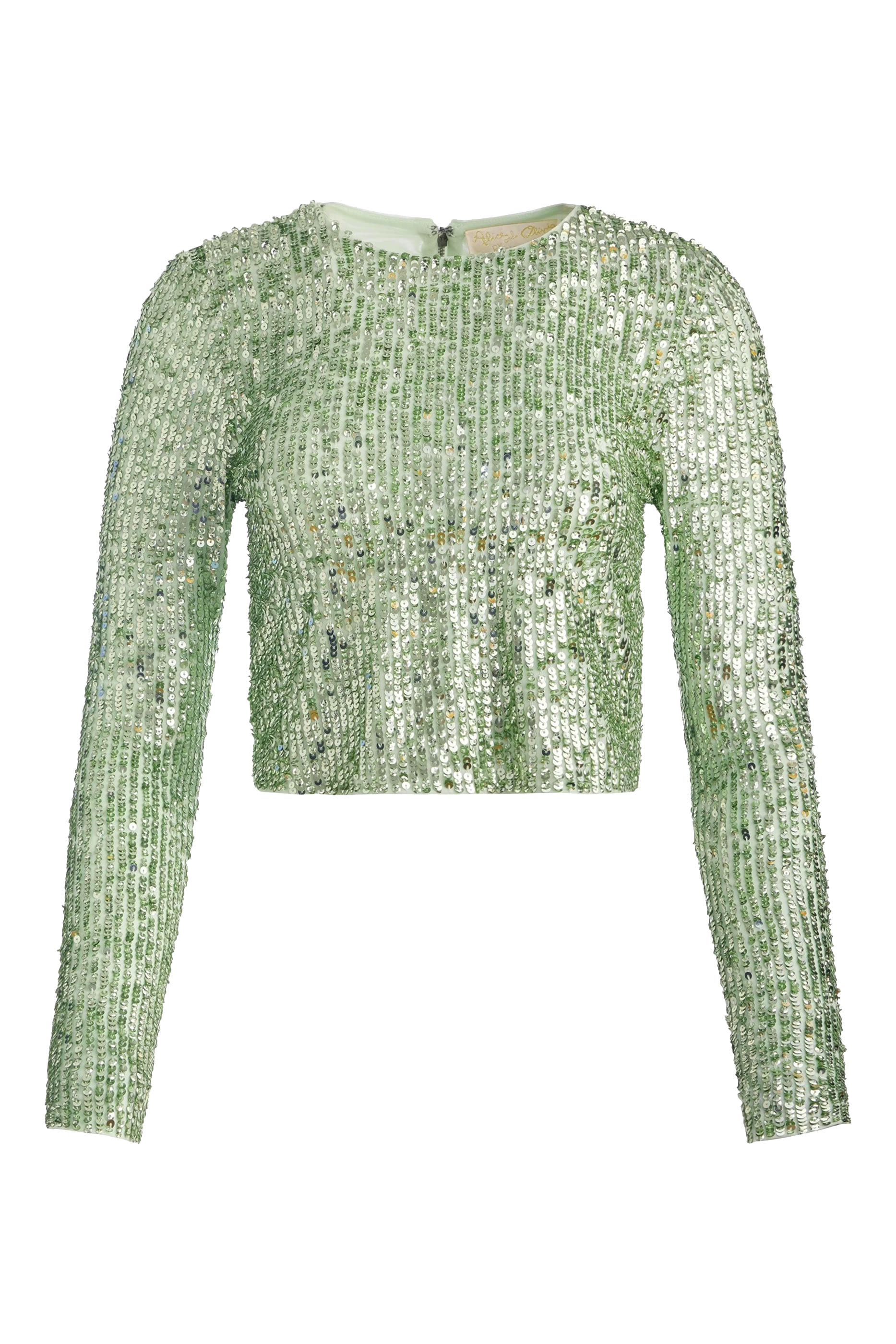 بلوزة ديلينا قصيرة بأكمام طويلة وتطريزات