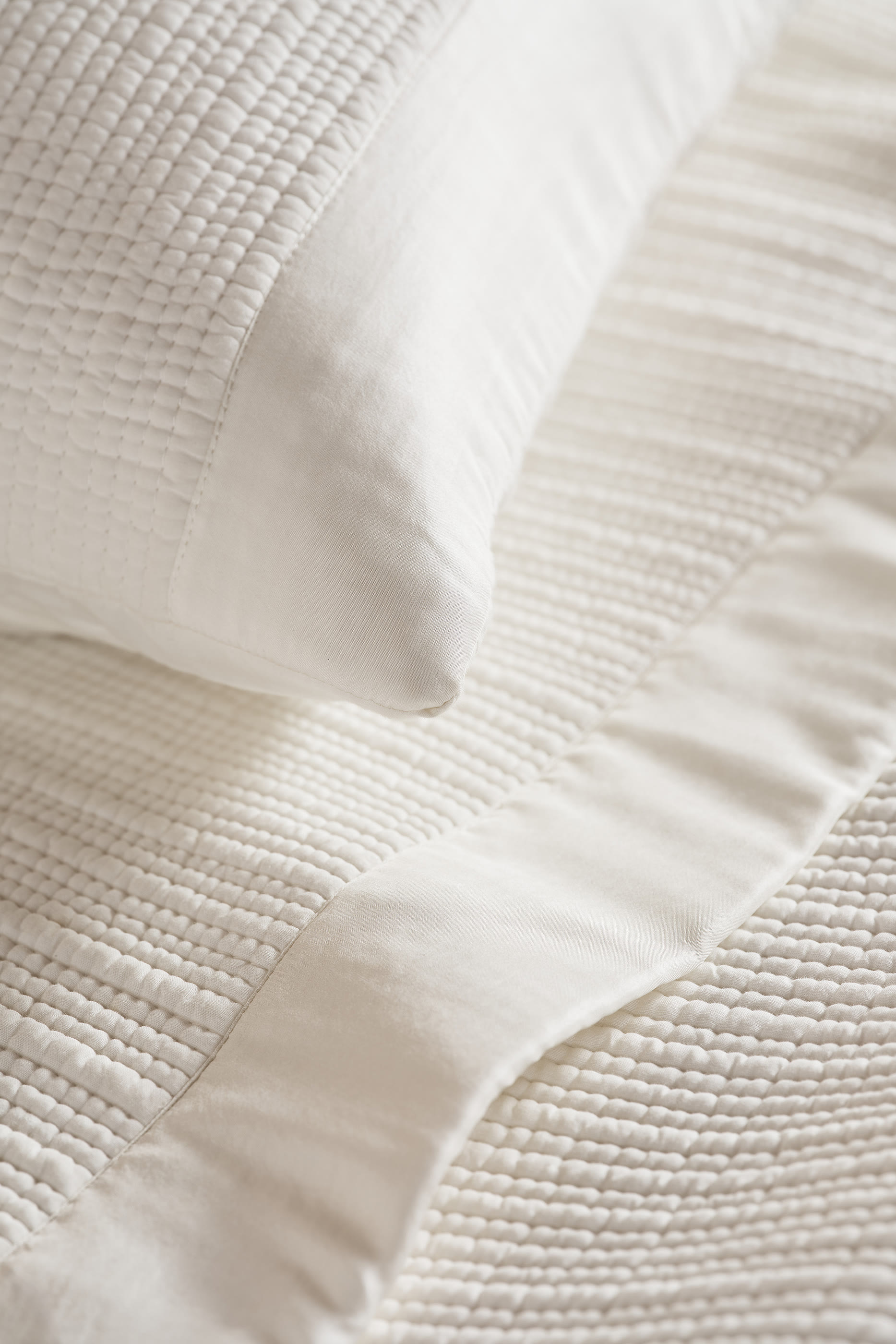 غطاء وسادة بلغرافيا