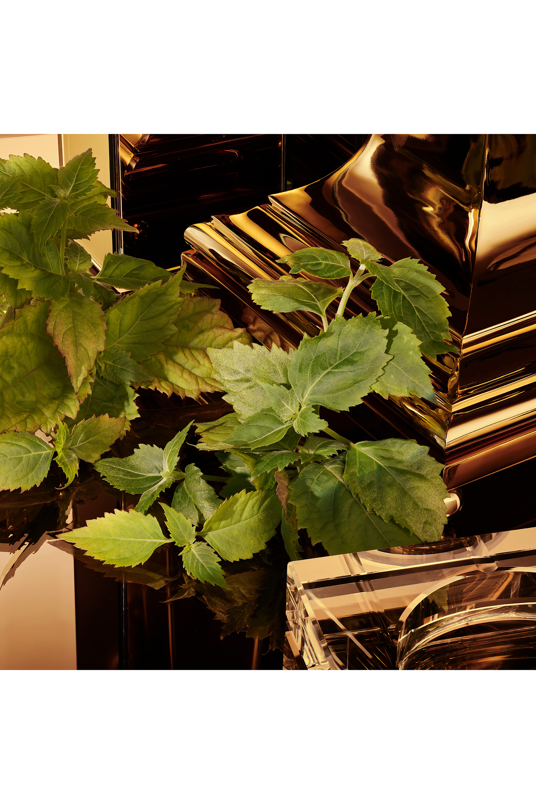 أو دو بارفان مركز ذا وان جولد للرجال