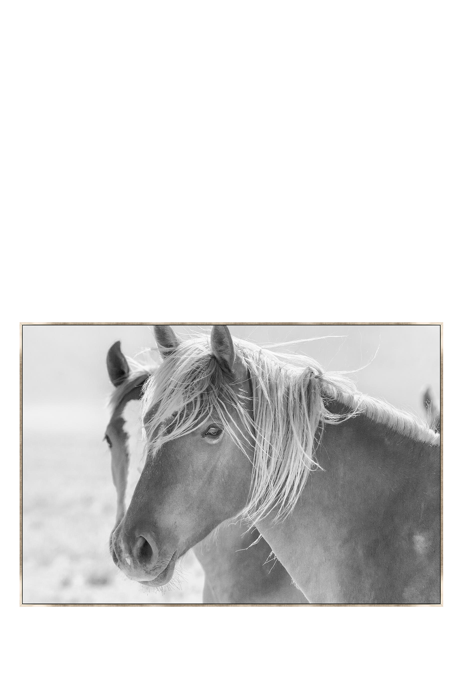 لوحة فنية 'دريمر'