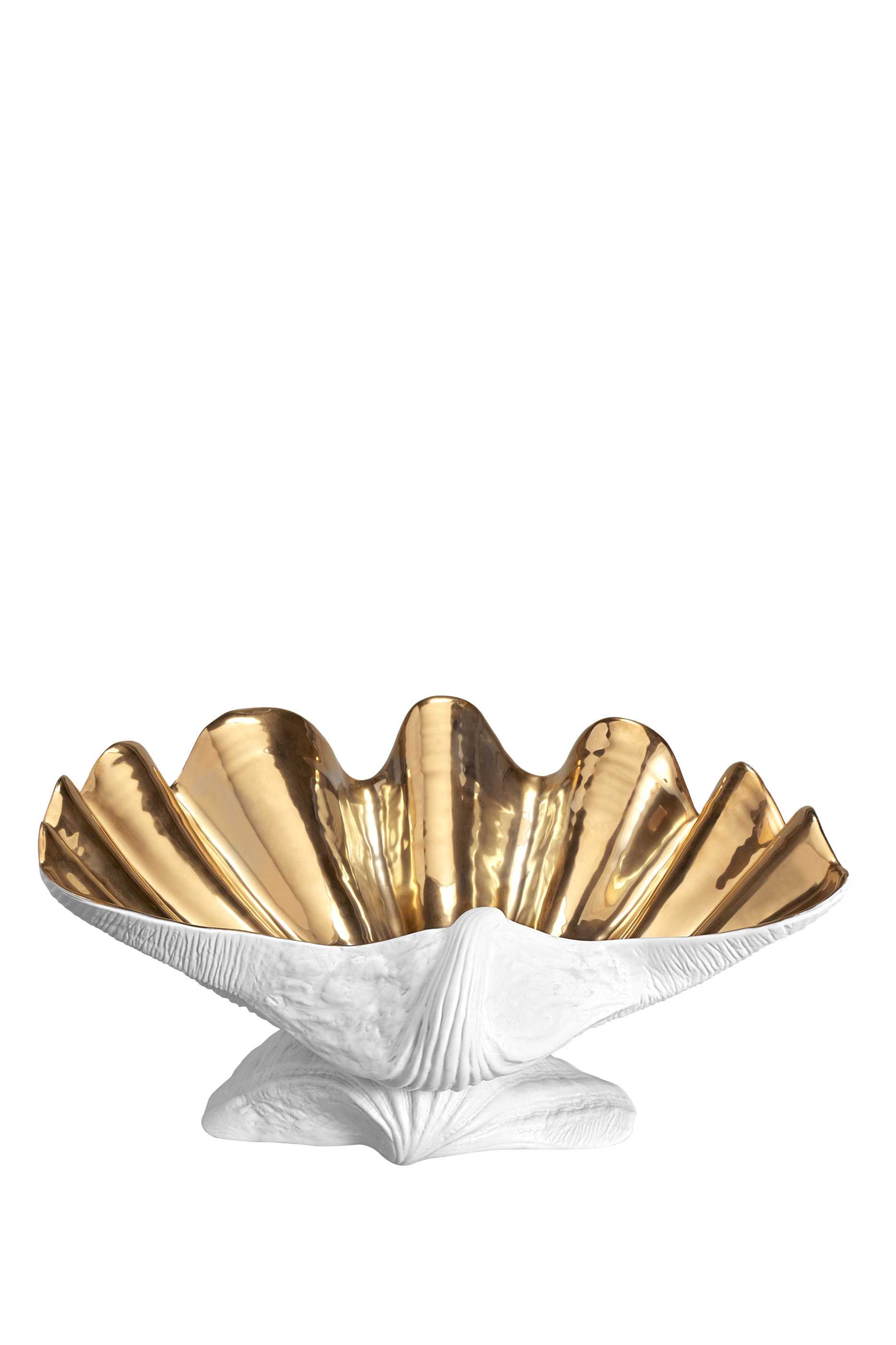 وعاء نيبتون كبير جدا