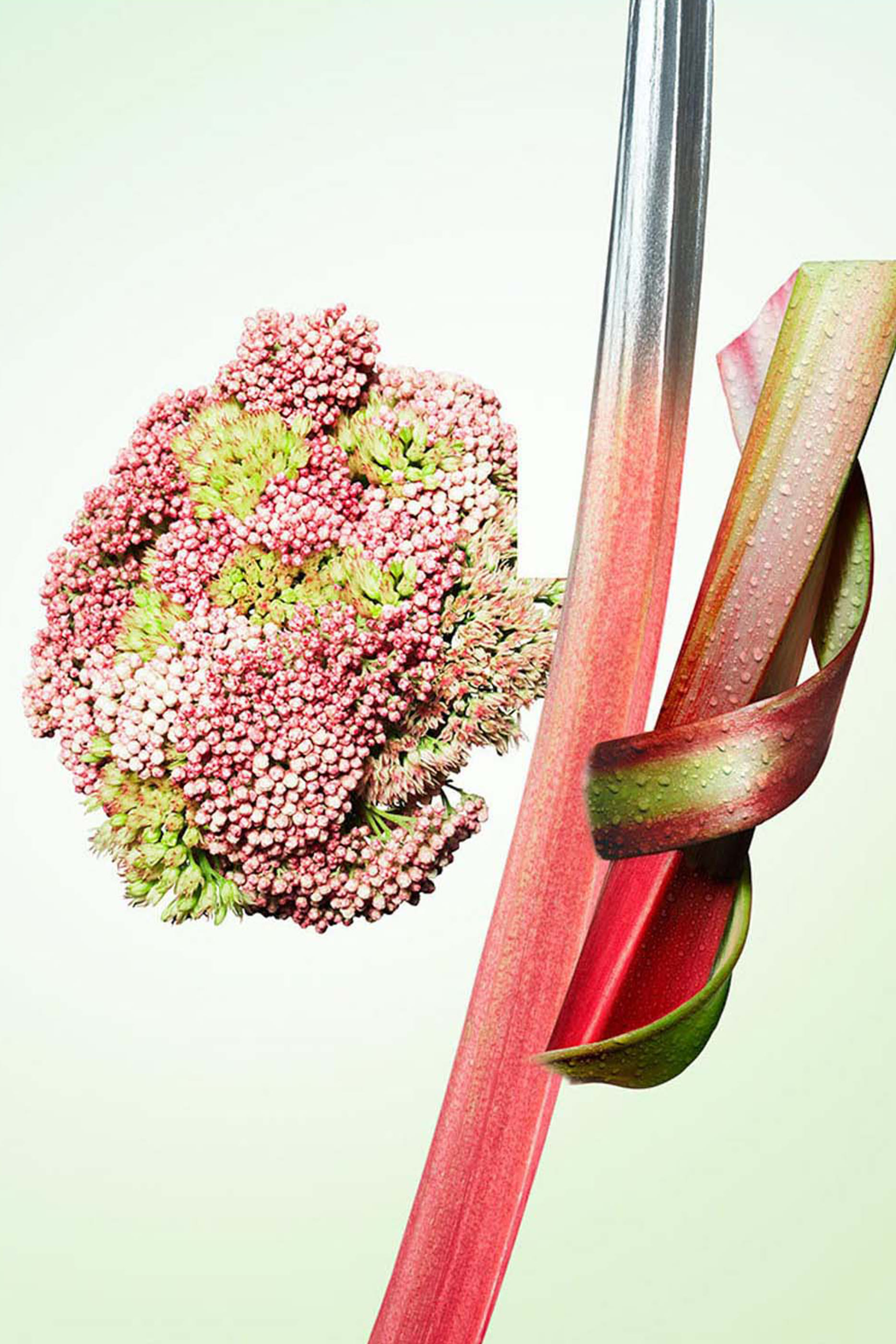 أو دو بارفان انفيوجن دي روبارب