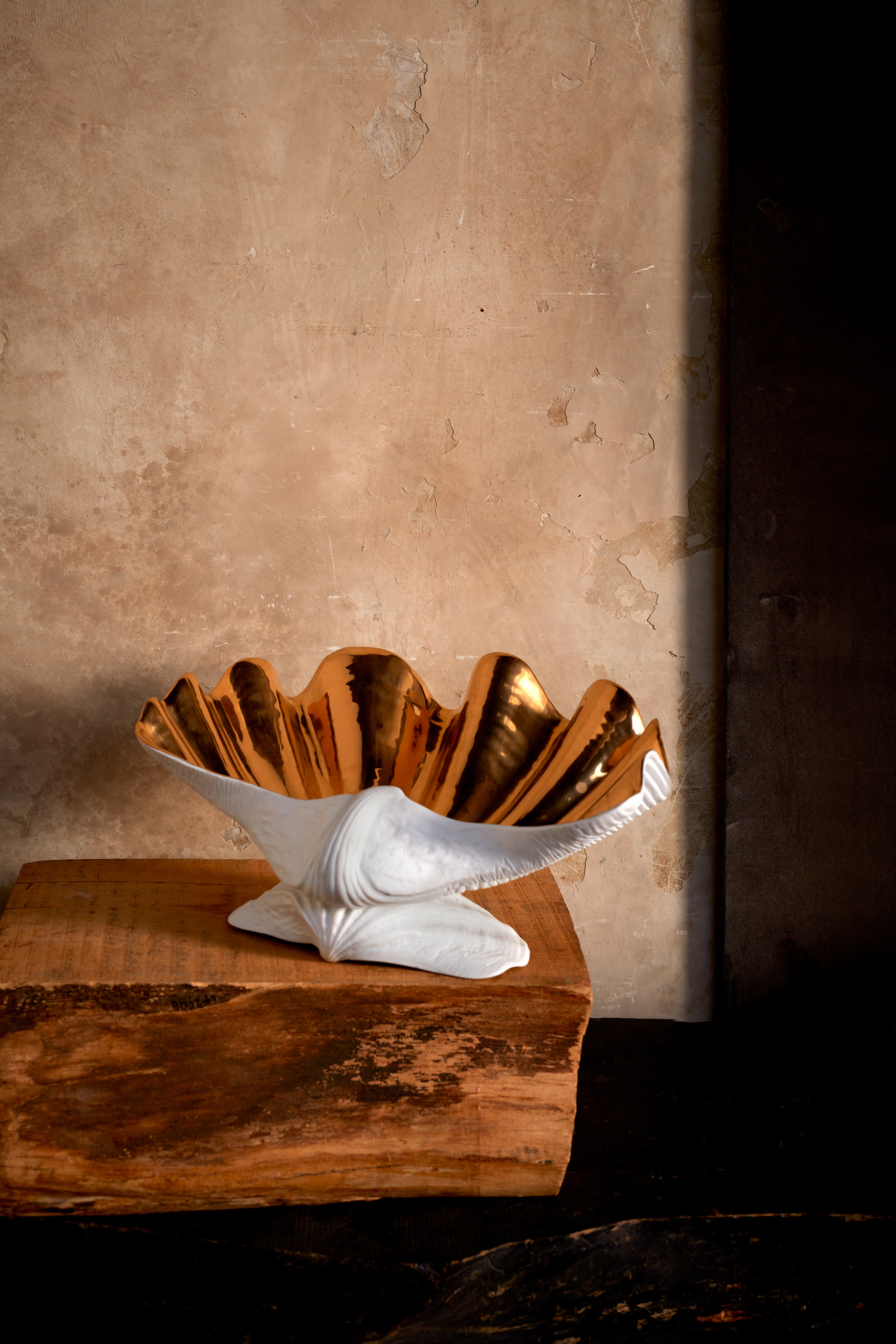 وعاء نيبتون كبير جدا