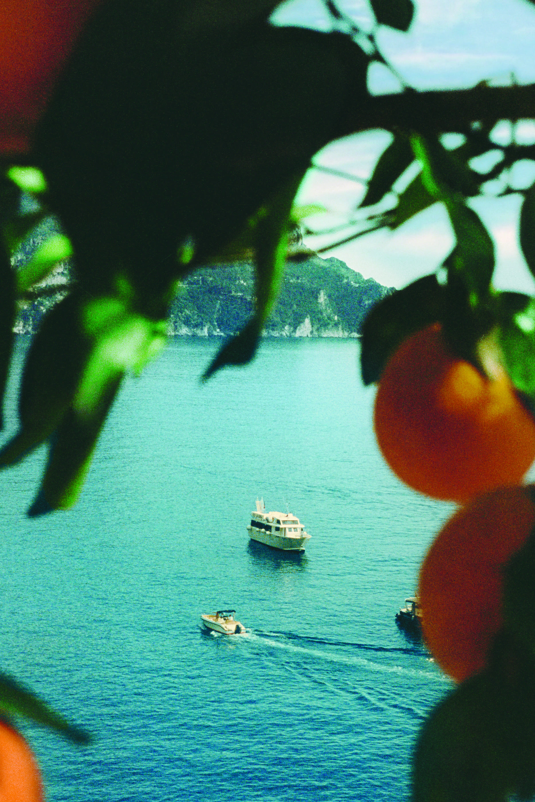 عطر ريبليكا نيفر اندنج سامر