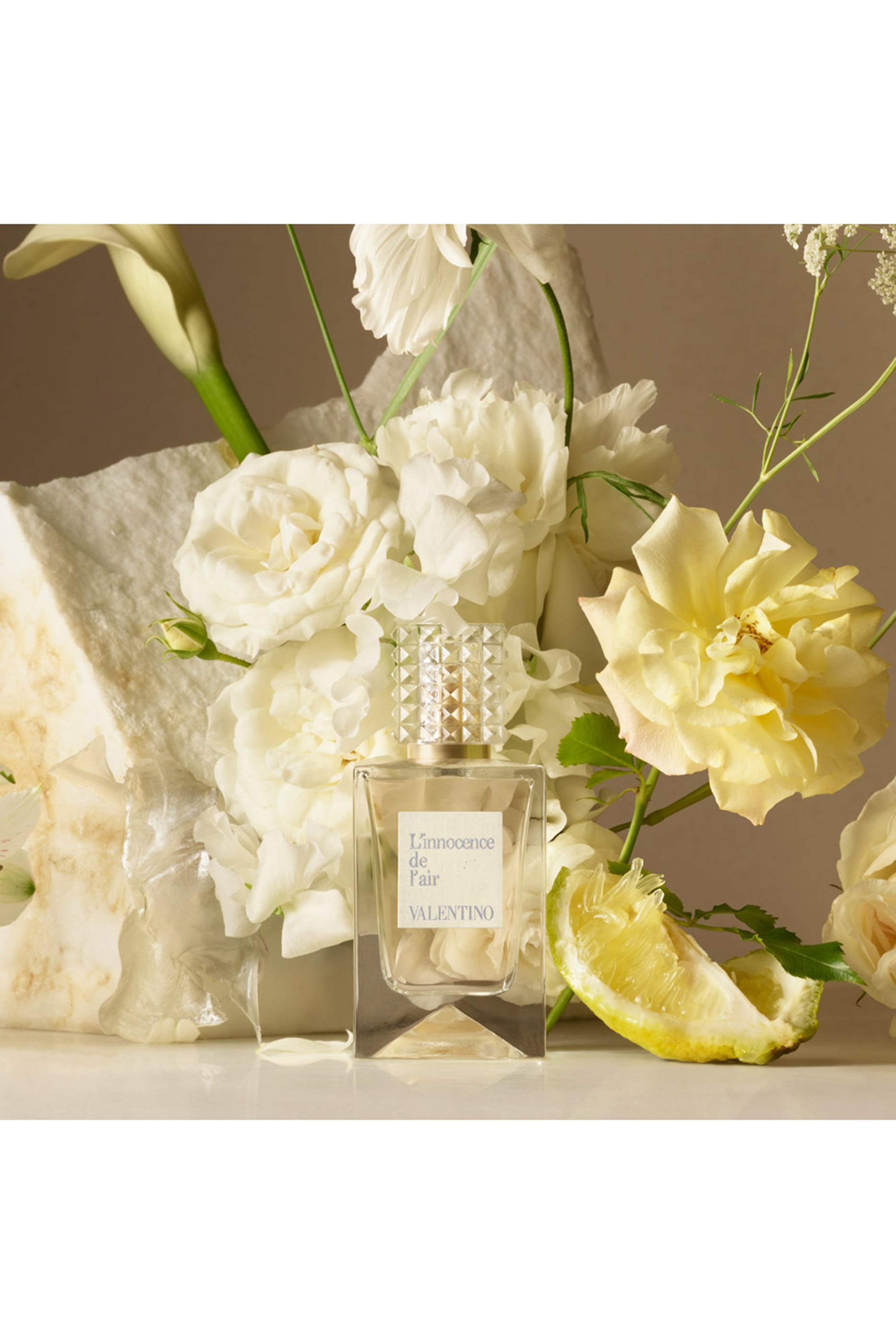 عطر أناتومي أوف دريمز - إينوسينس دو لير