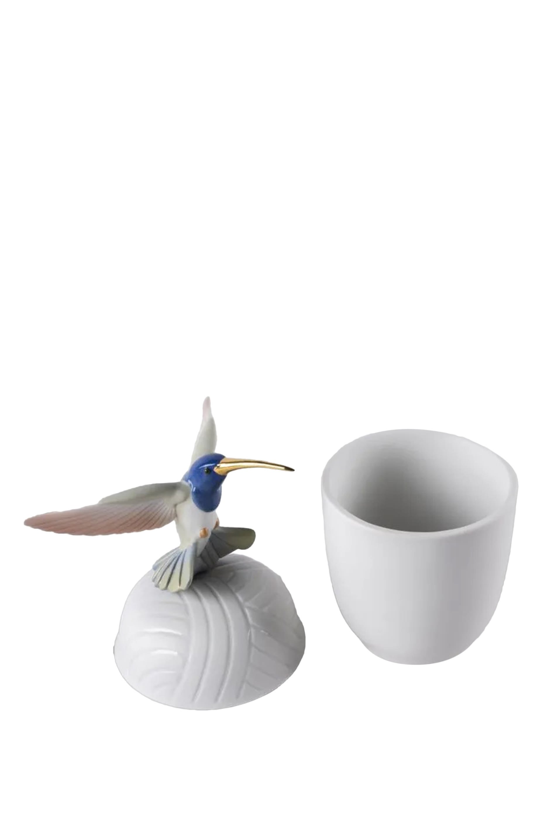 صندوق الطائر الطنان