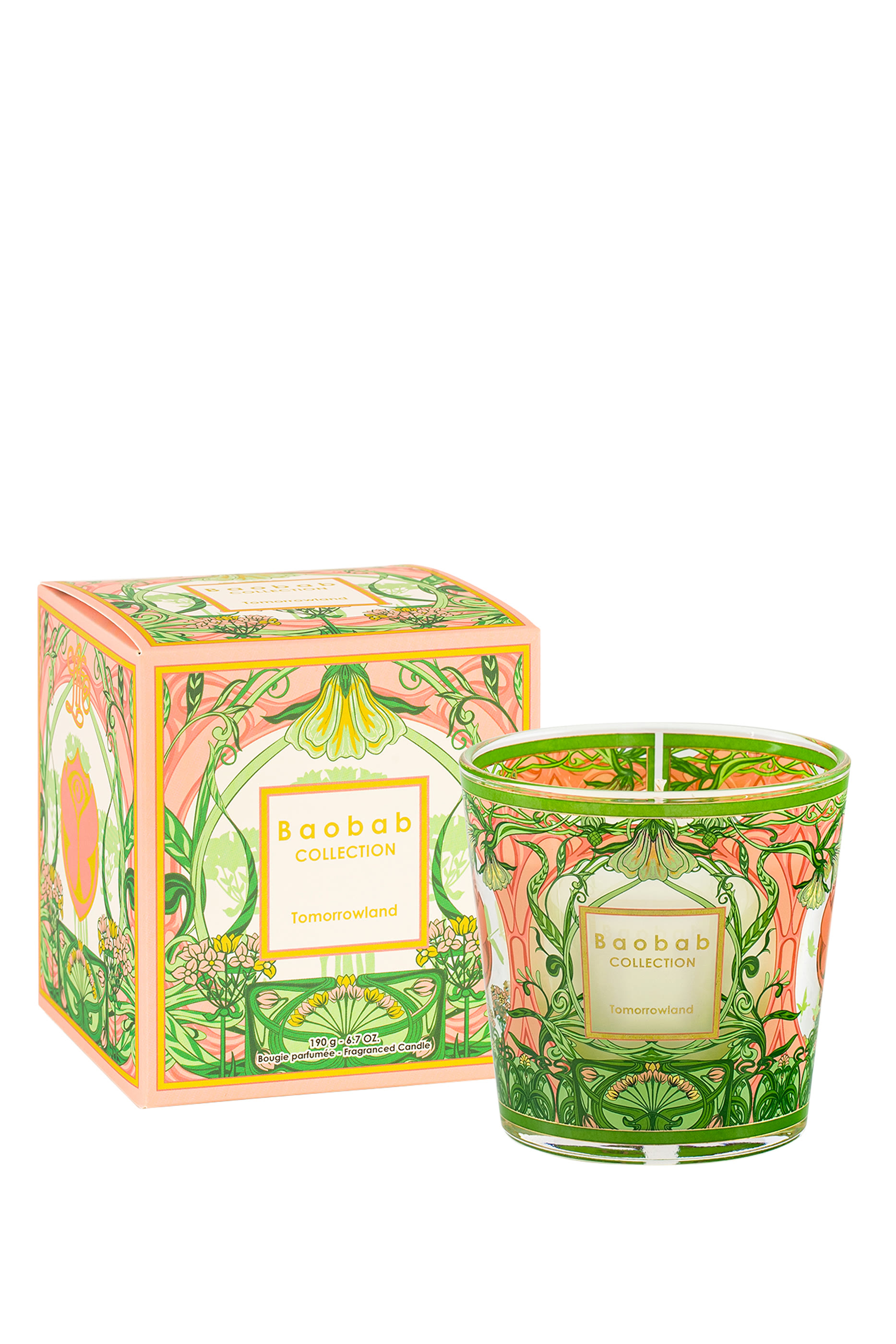 شمعة ماي فرست باوباب تومورولاند 2024