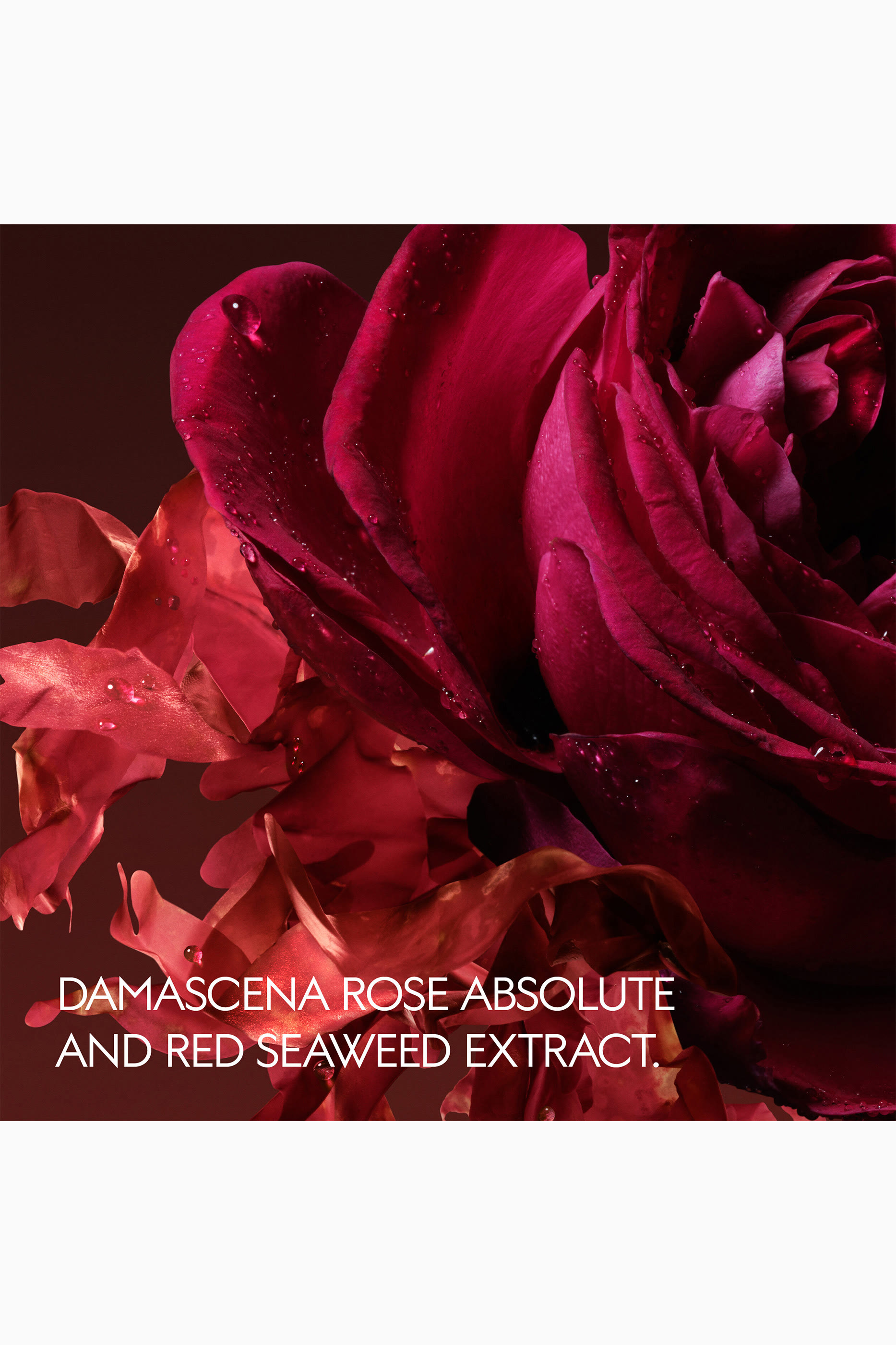 أو دو بارفان ذا ألكمست غاردن روزا إنكانديسينتي