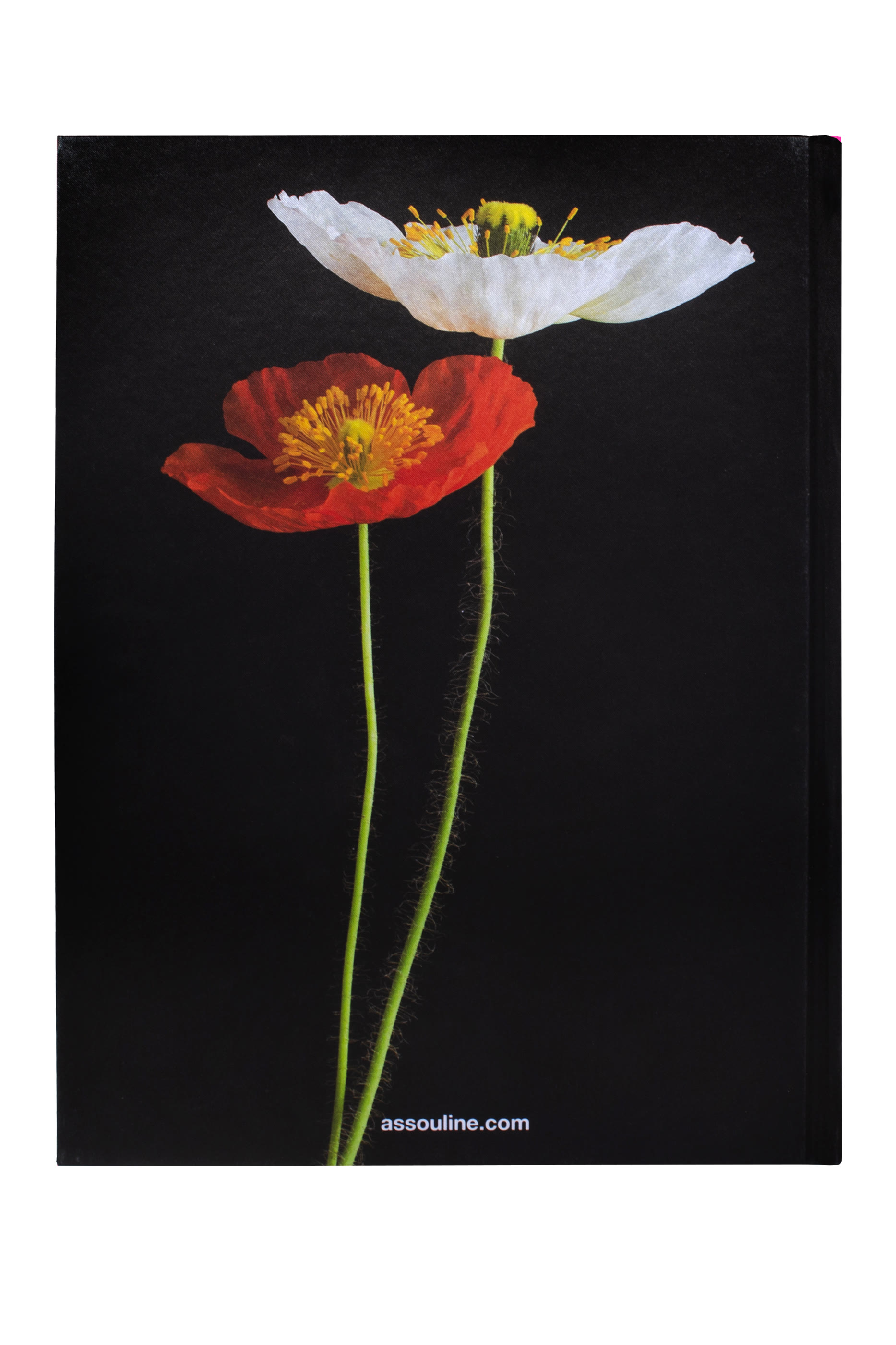 كتاب فن الزهور والباقات