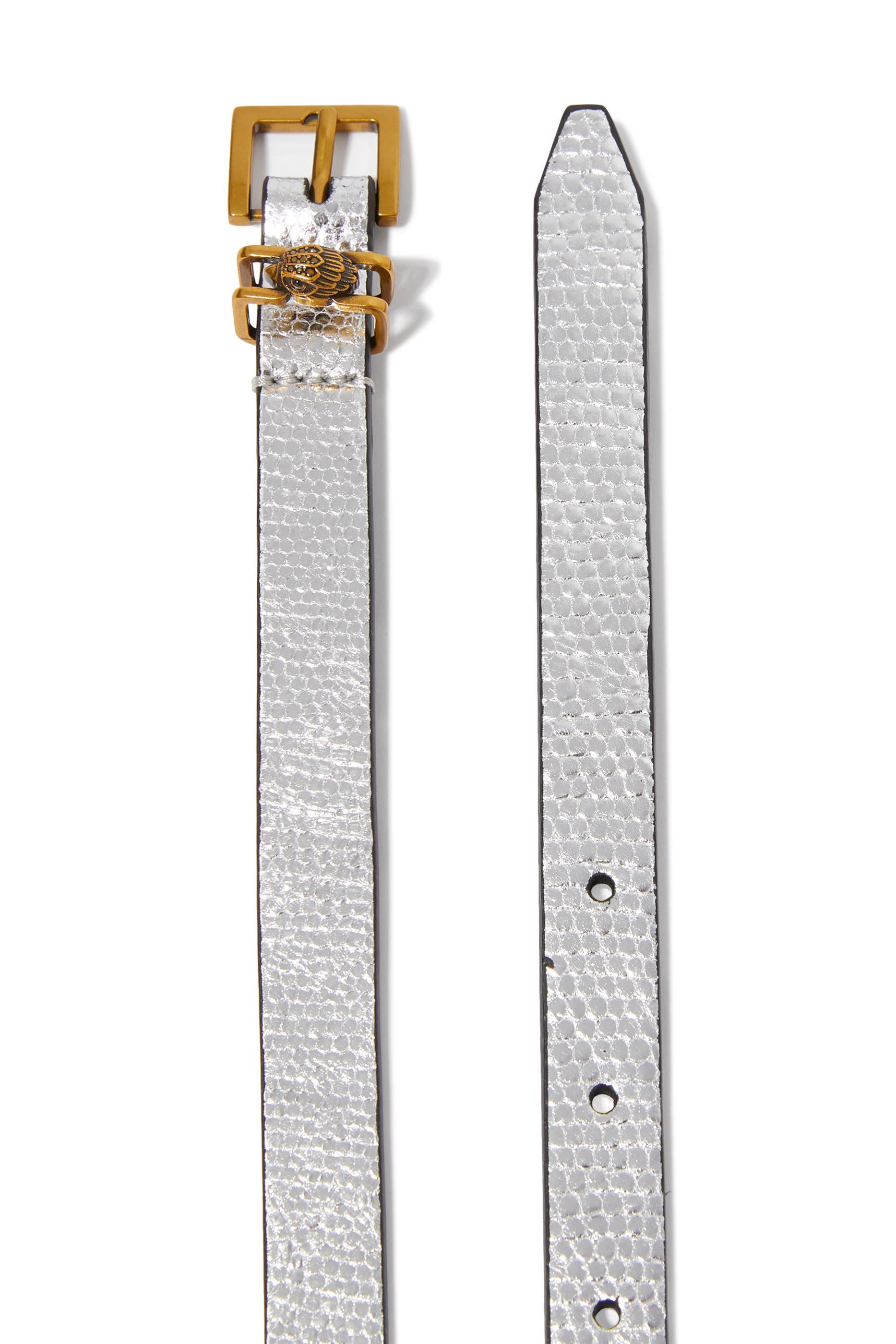 حزام شروديتش جلد