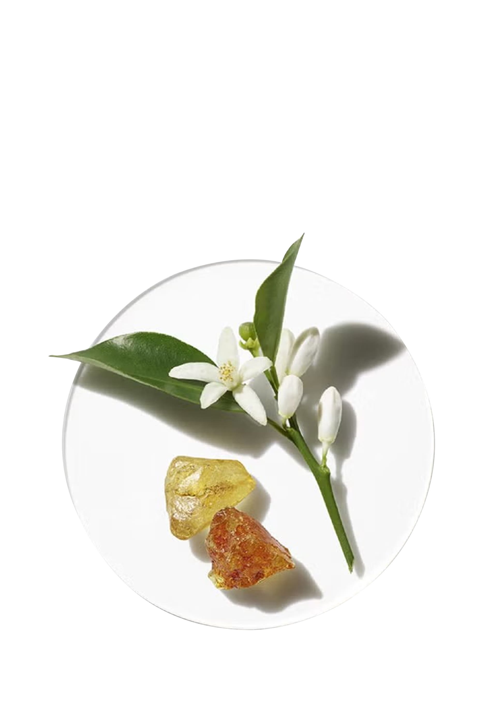 أو دو بارفان اروماتيكس إن وايت