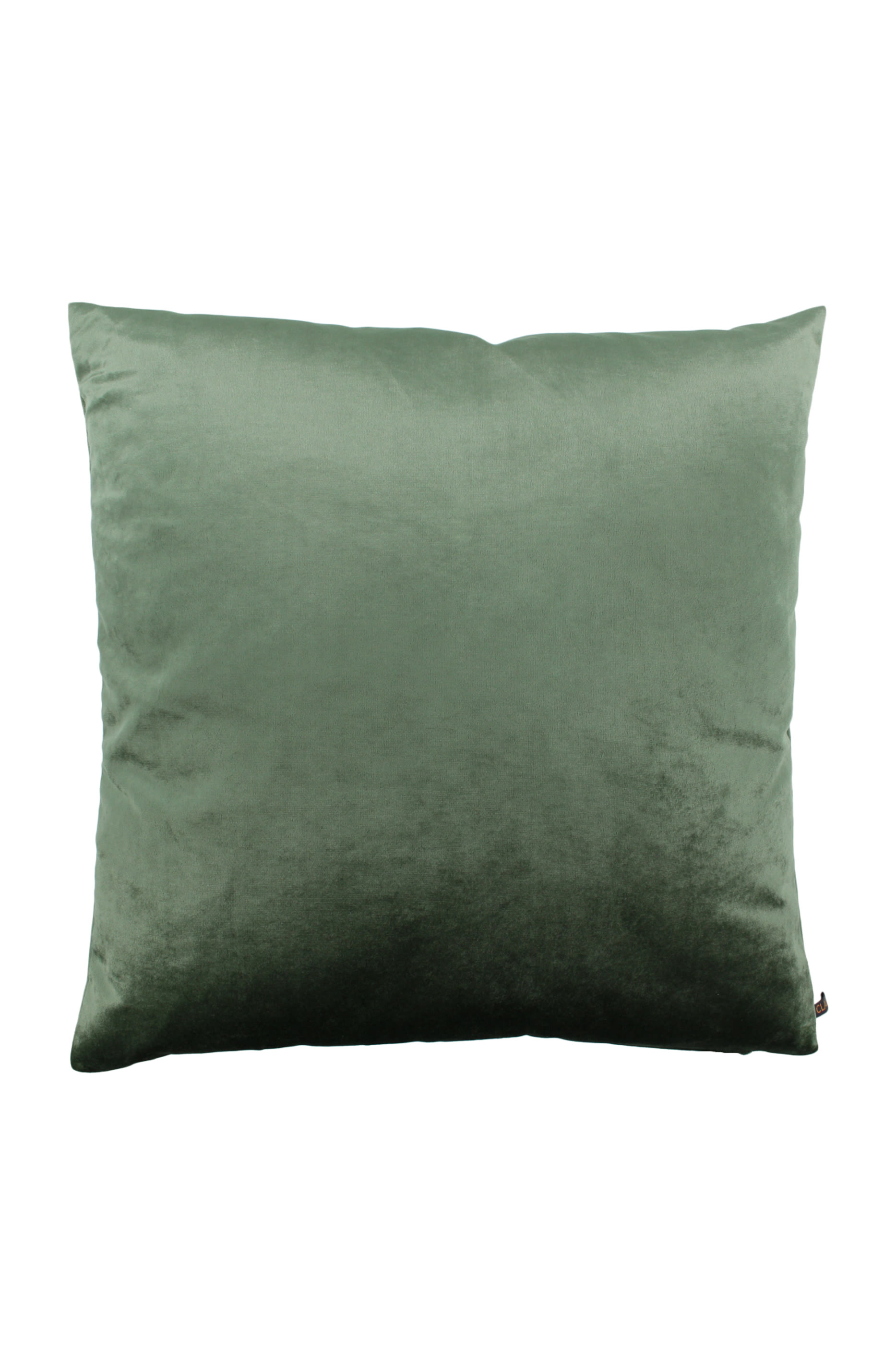 وسادة باندي مربعة