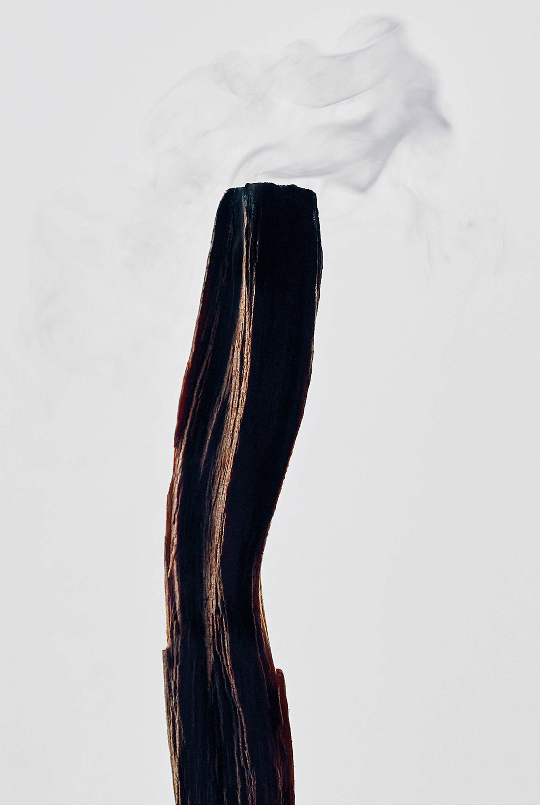 شمعة سانتو بالو متوسطة