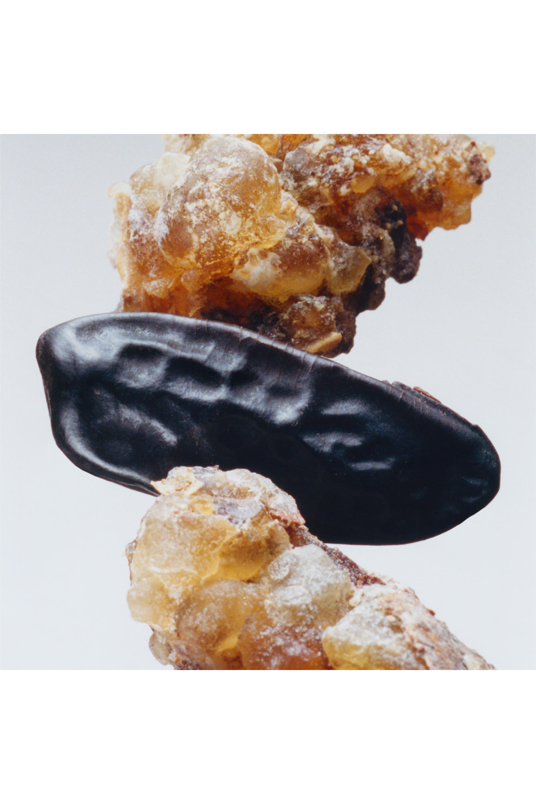 كولونيا مر اند تونكا مركزة