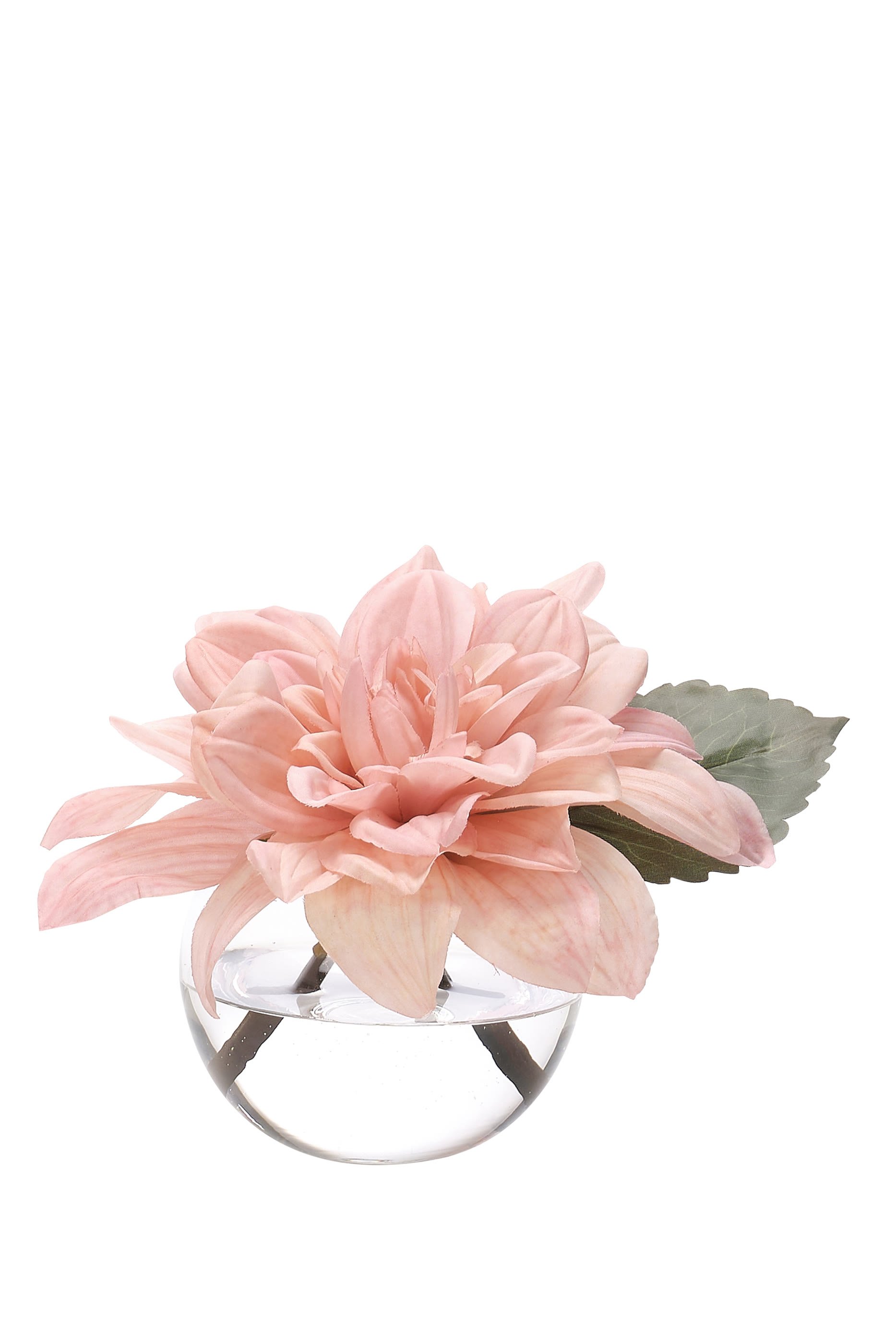 باقة زهور داليا بتصميم حديقة مائية اصطناعية