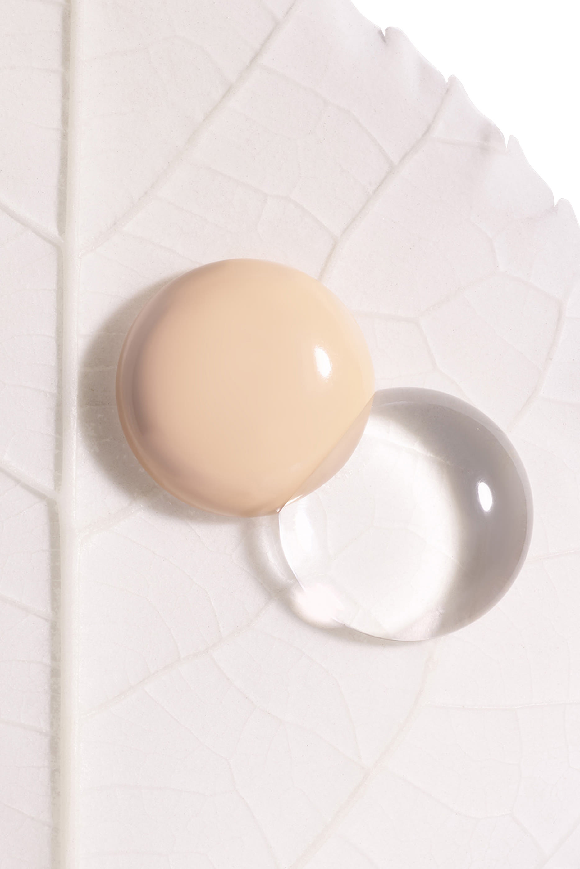 عبوة إعادة ملء كريم أساس فيتو-بلان لو كوسين