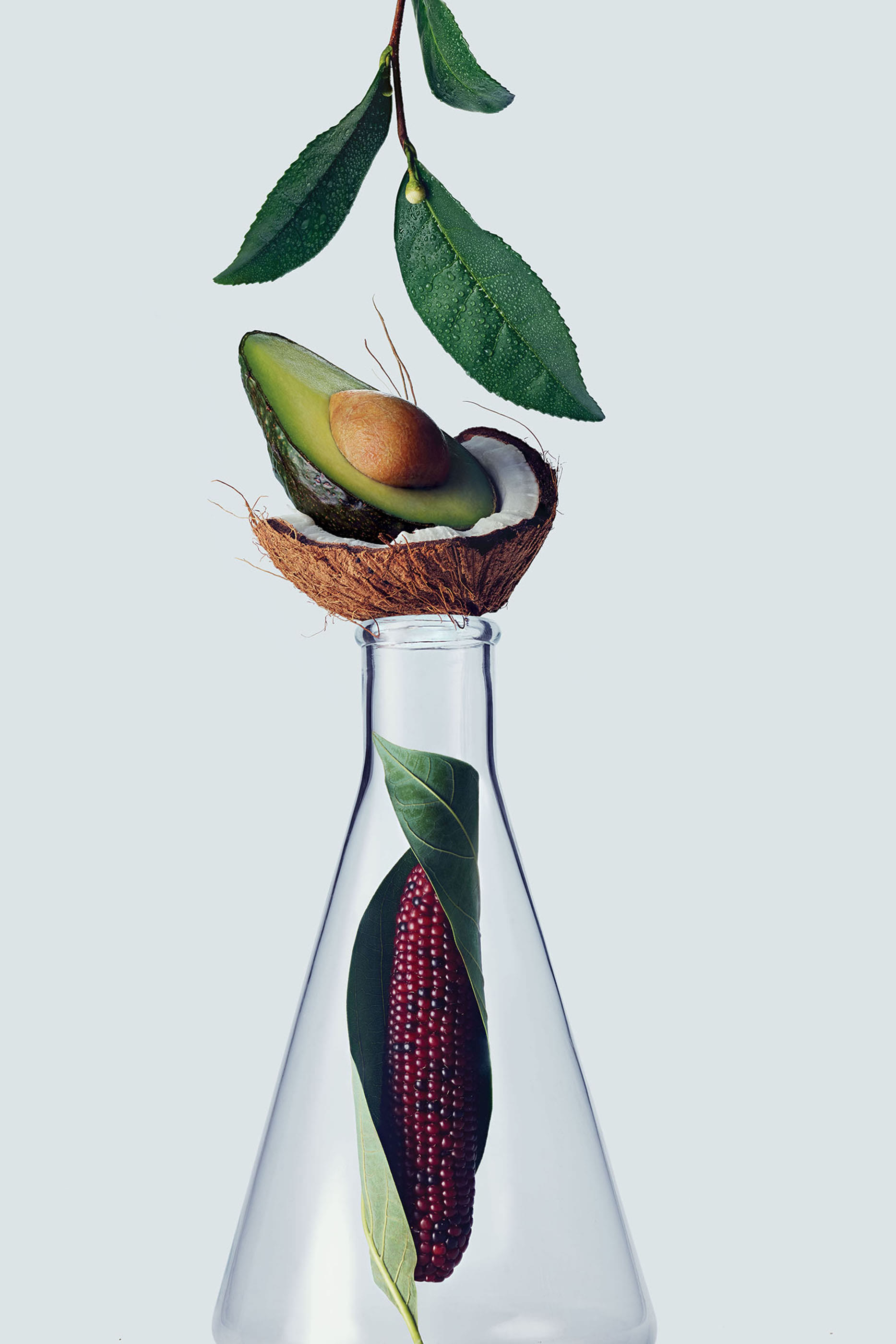 بلسم بوتانيكال ريبير لتقوية الشعر