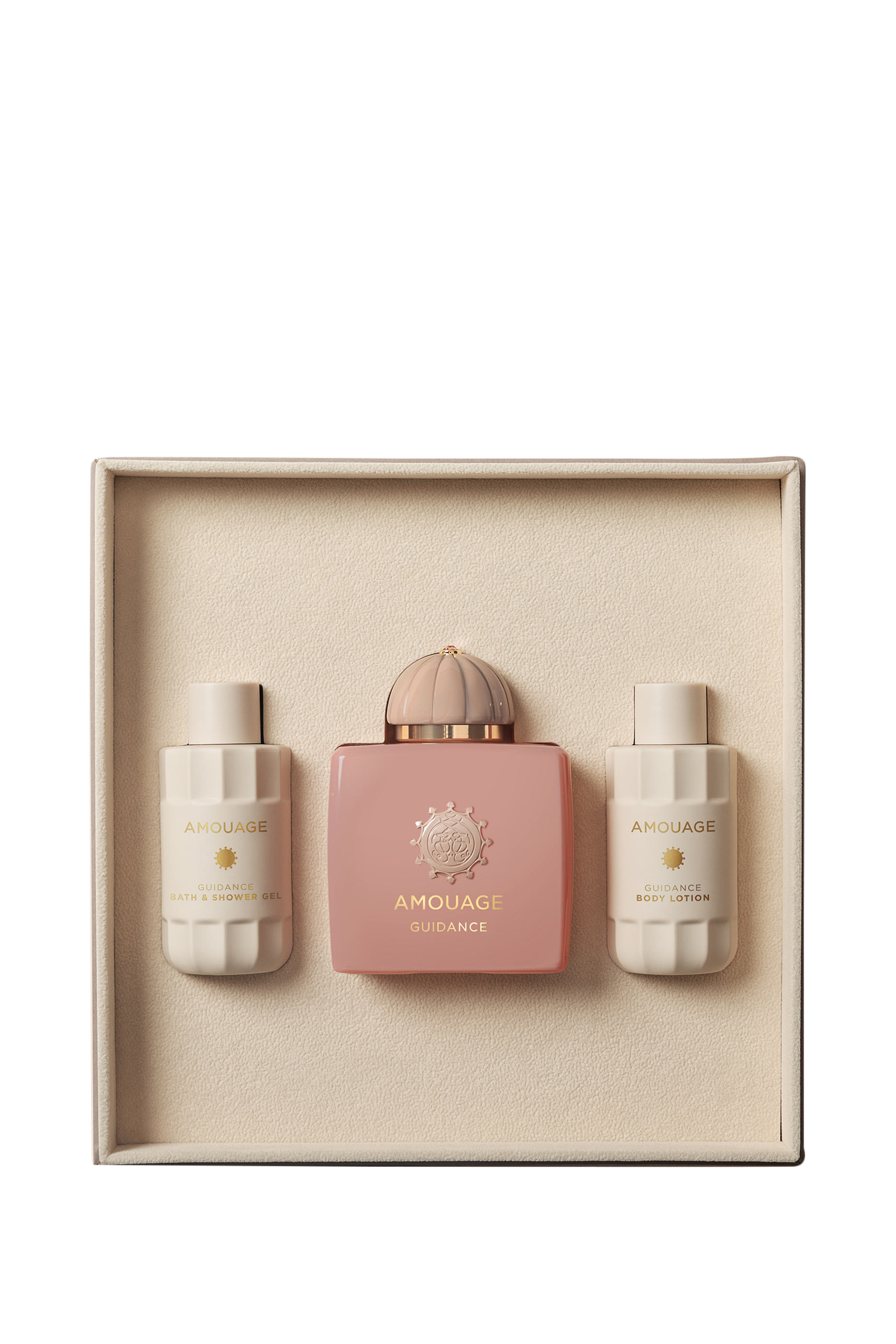 مجموعة هدية غايدانس