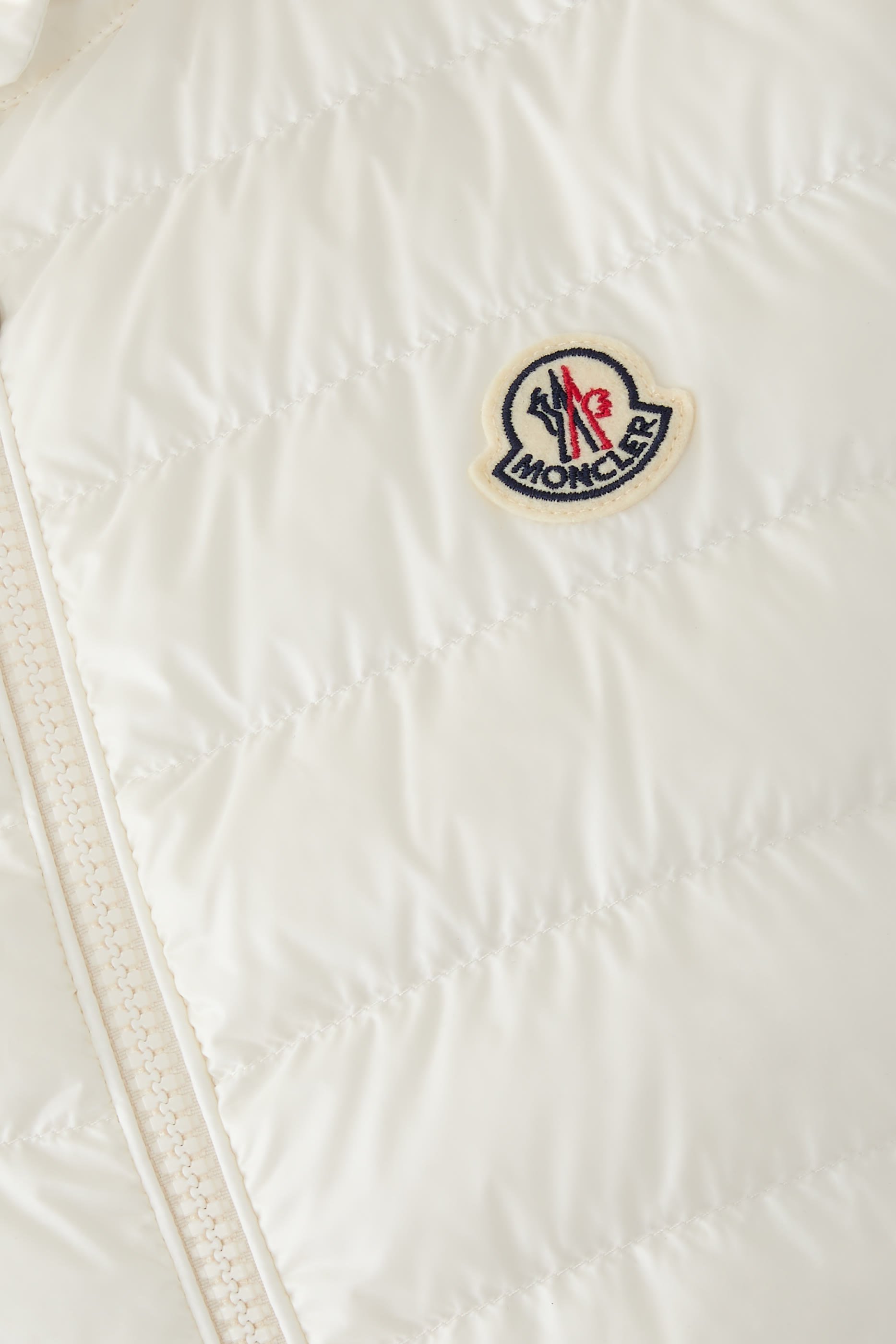 فيست إيغينس