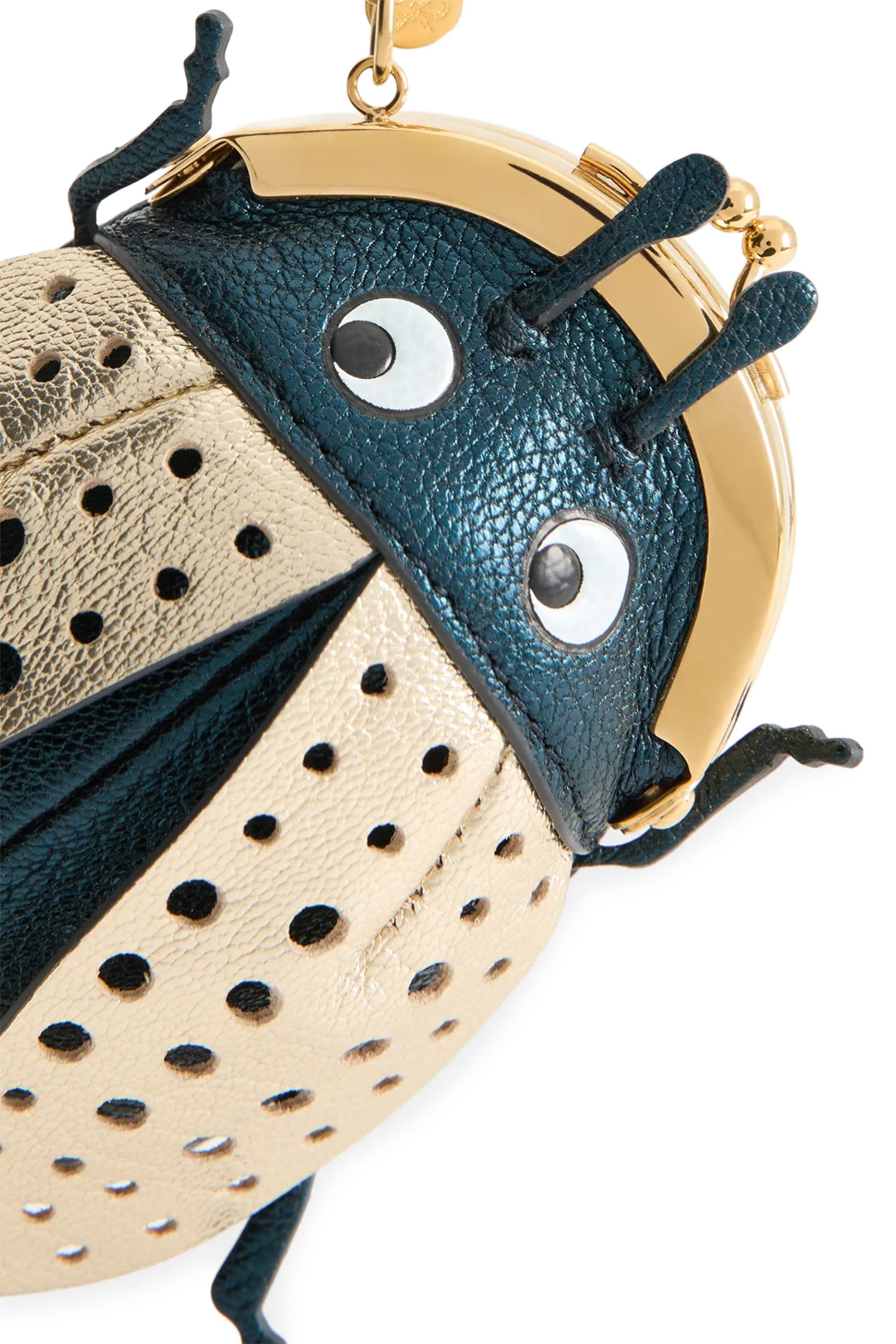 حافظة عملات معدنية بتصميم حشرة